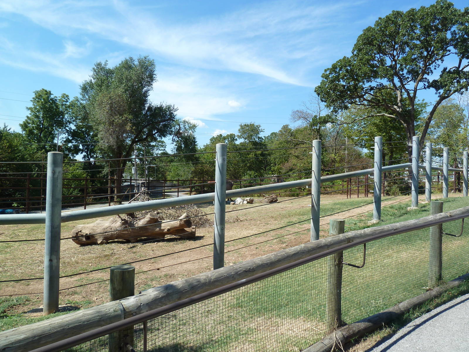 Asian Elephant Exhibit