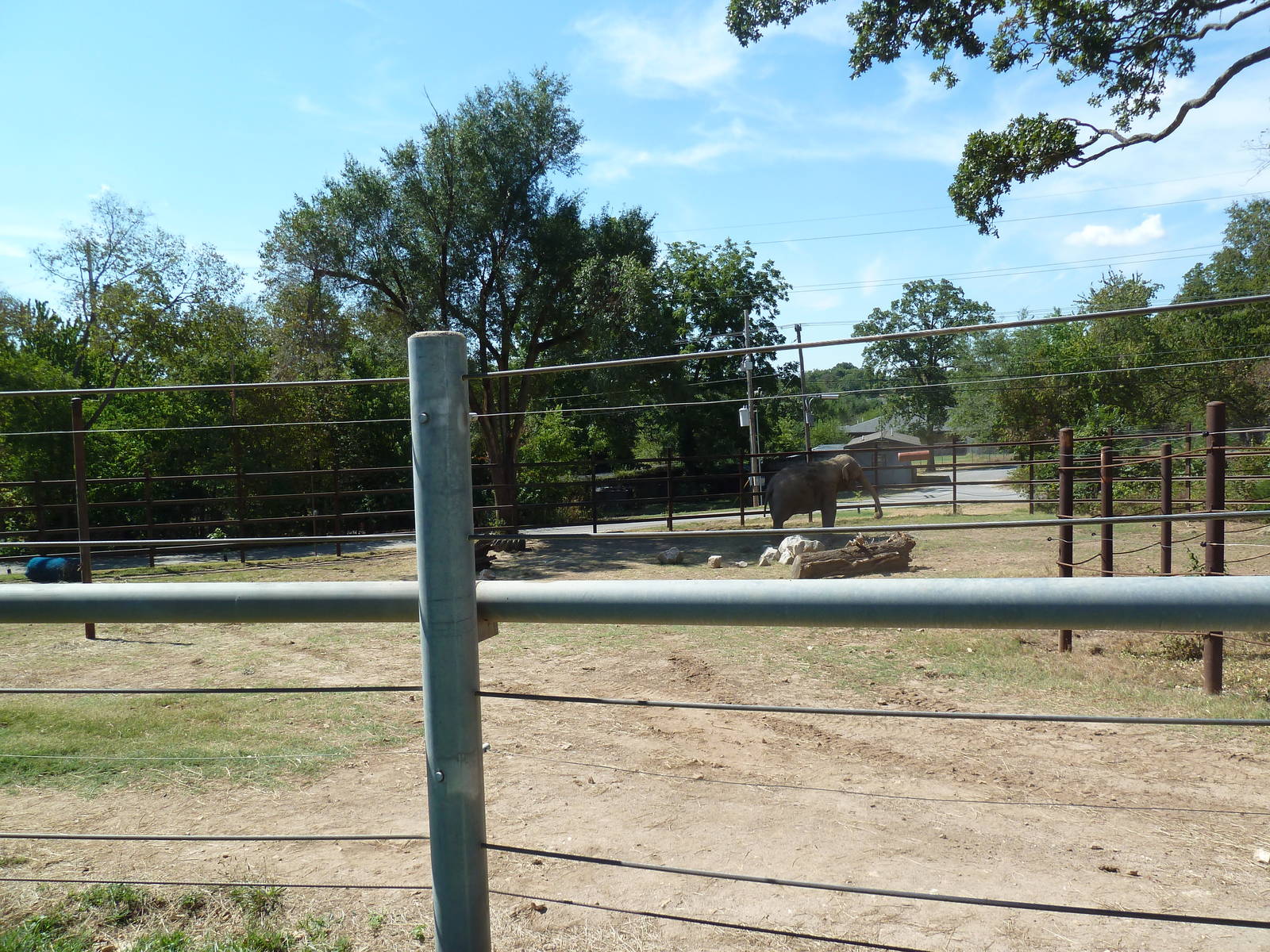 Asian Elephant Exhibit
