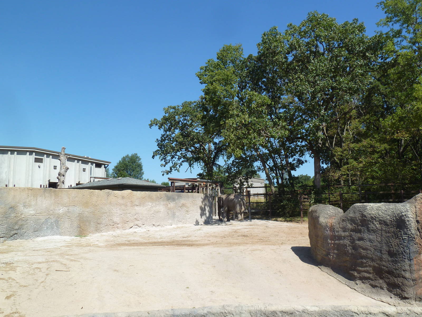 Asian Elephant Exhibit