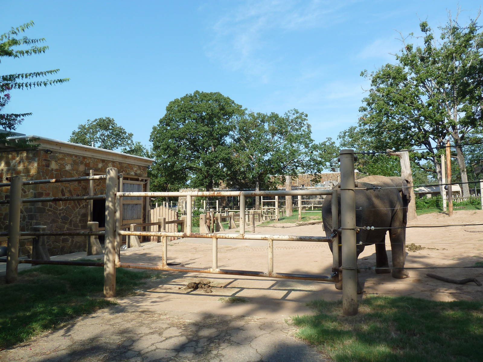 Asian Elephant Exhibit
