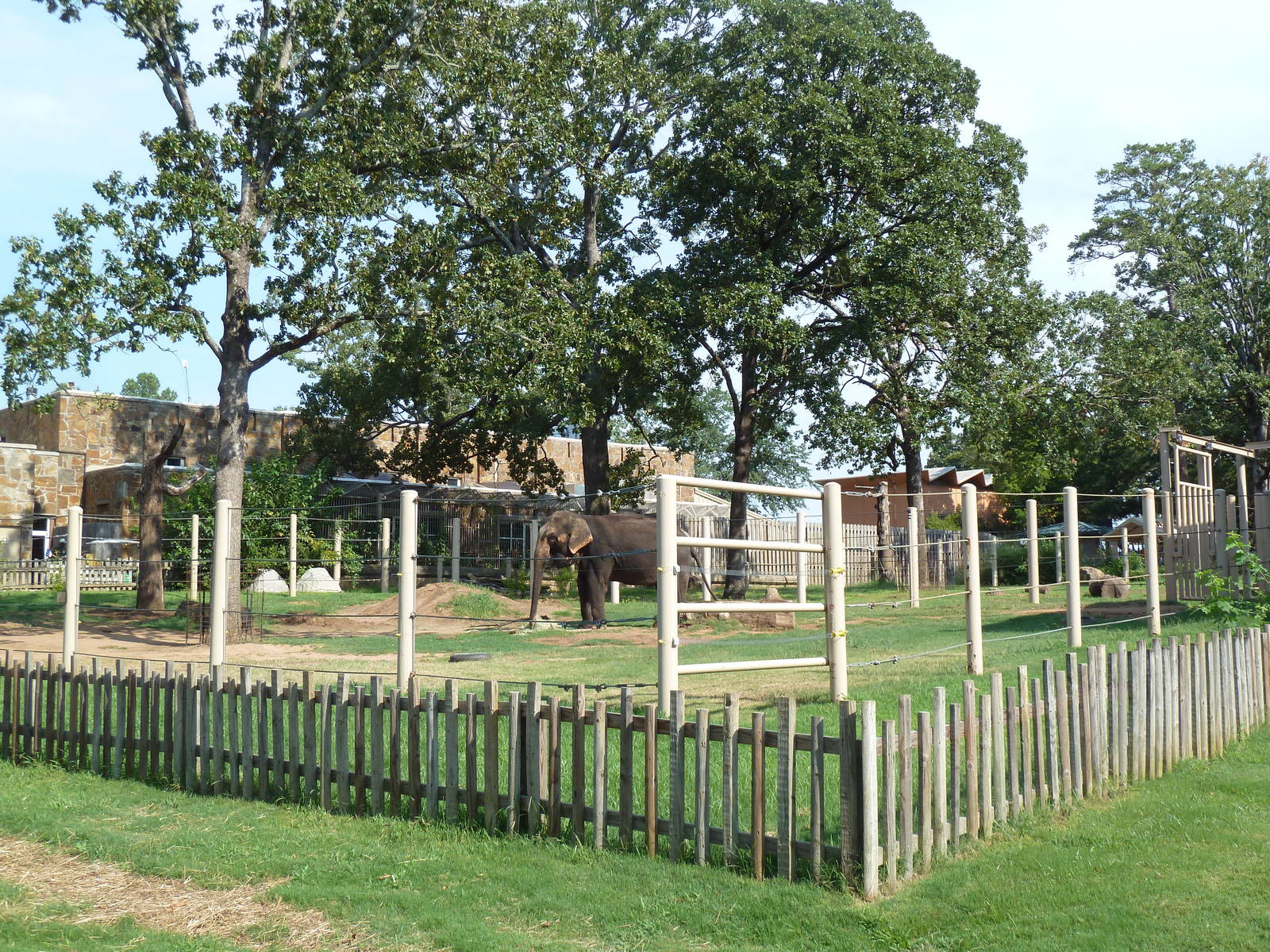 Asian Elephant Exhibit