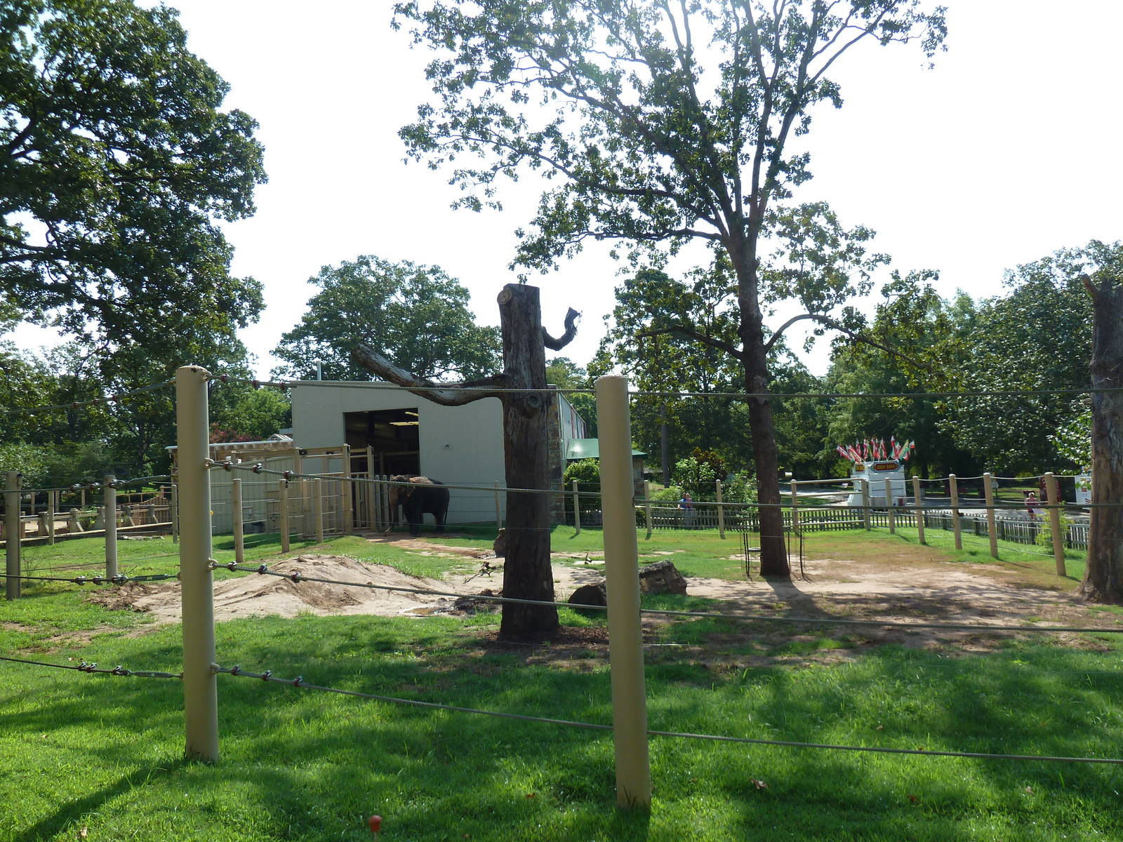 Asian Elephant Exhibit