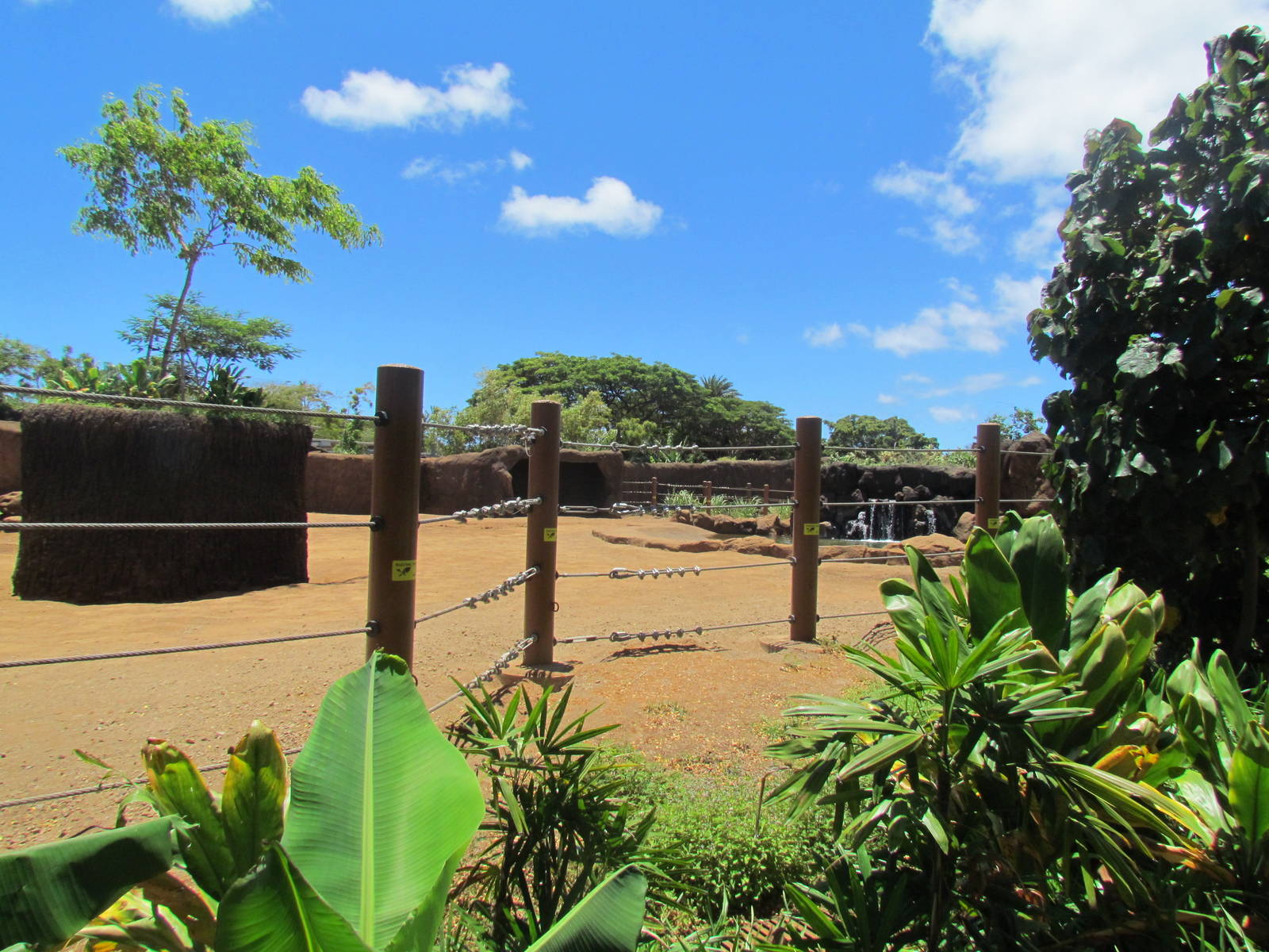 Asian Elephant Exhibit