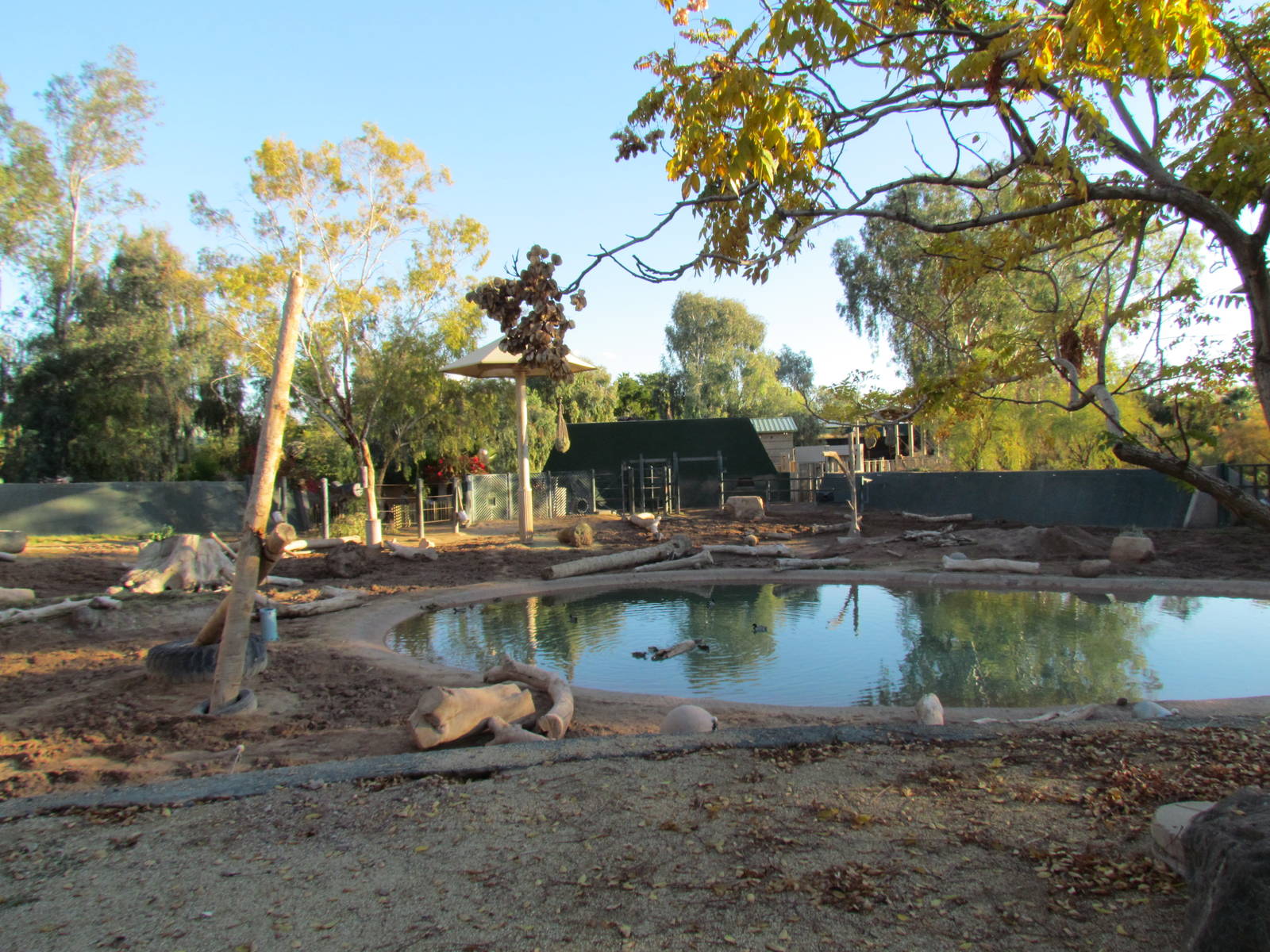 Asian Elephant Exhibit