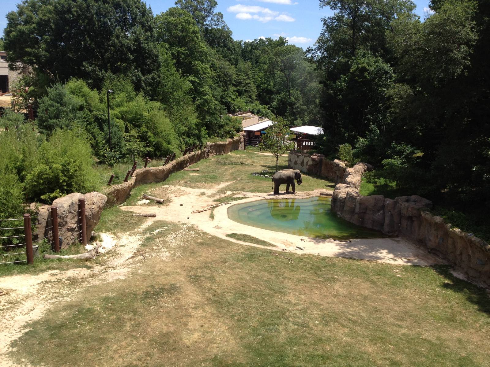 Asian Elephant Exhibit