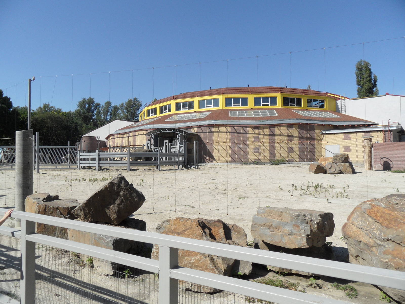 Asian elephant exhibit