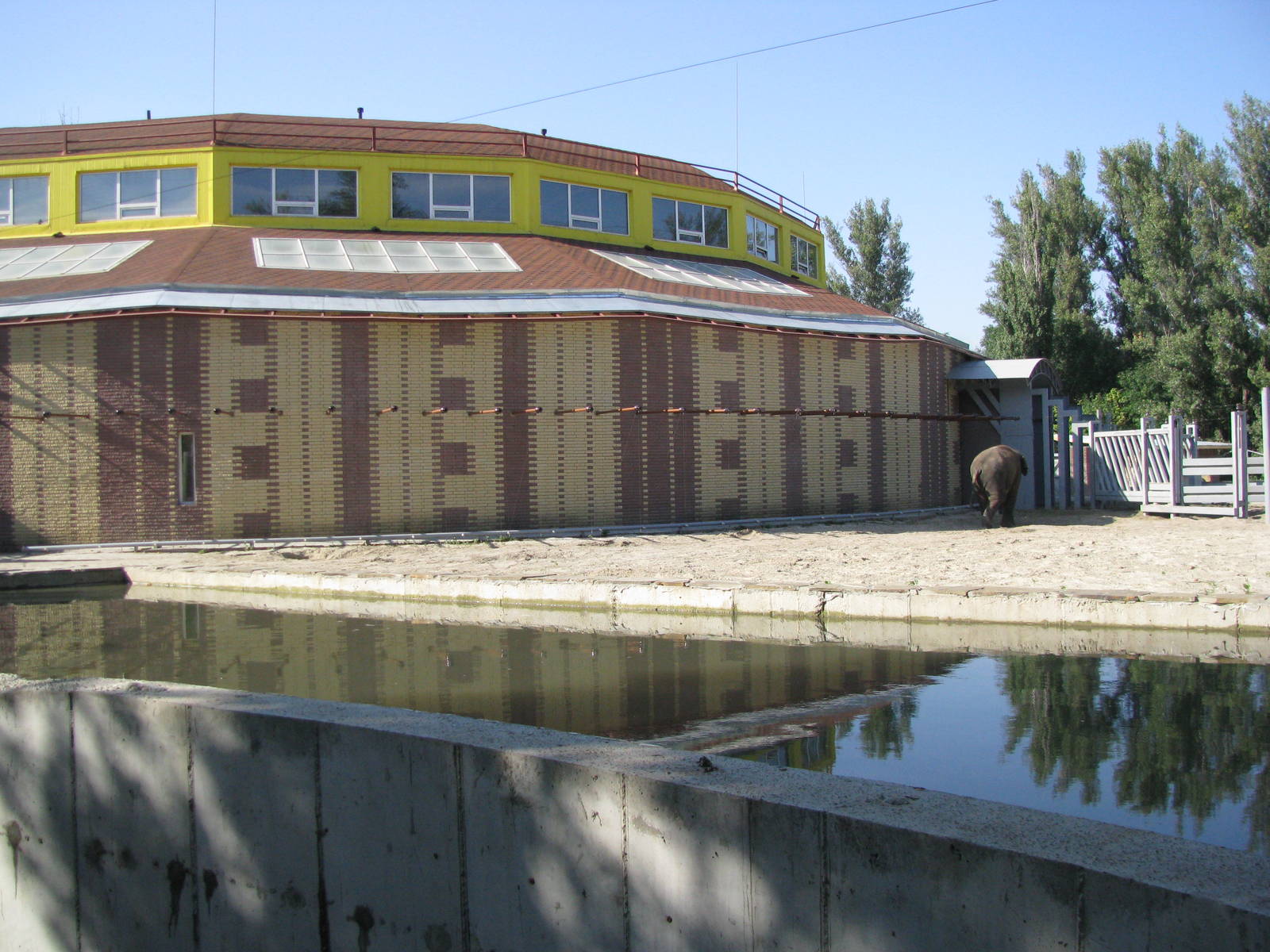 Asian elephant exhibit
