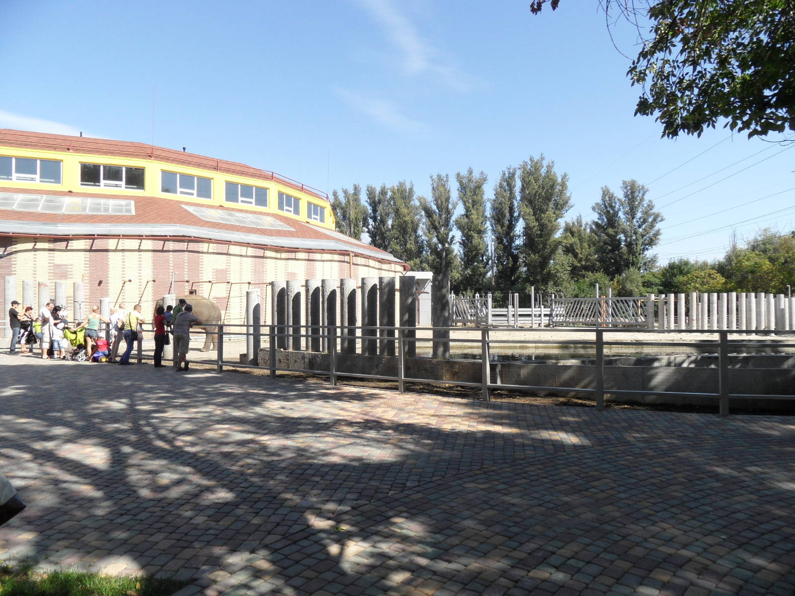 Asian elephant exhibit