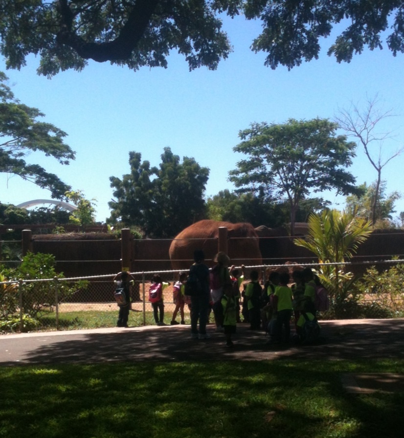 Asian Elephant Exhibit