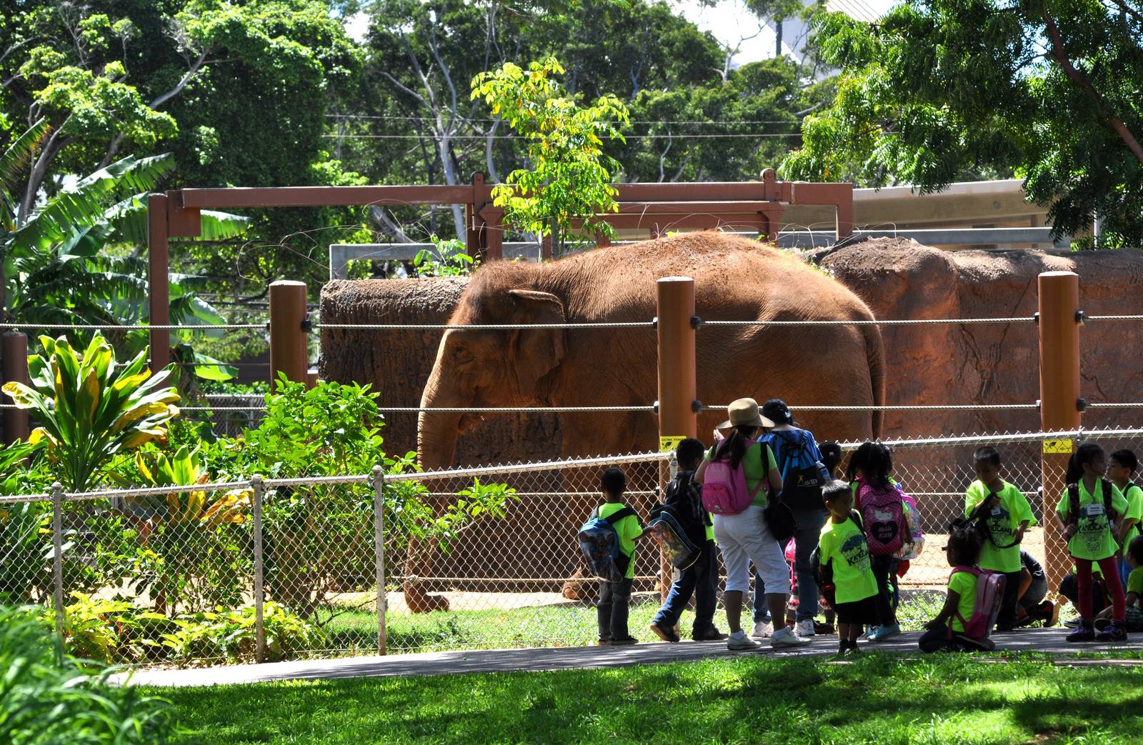 Asian Elephant Exhibit