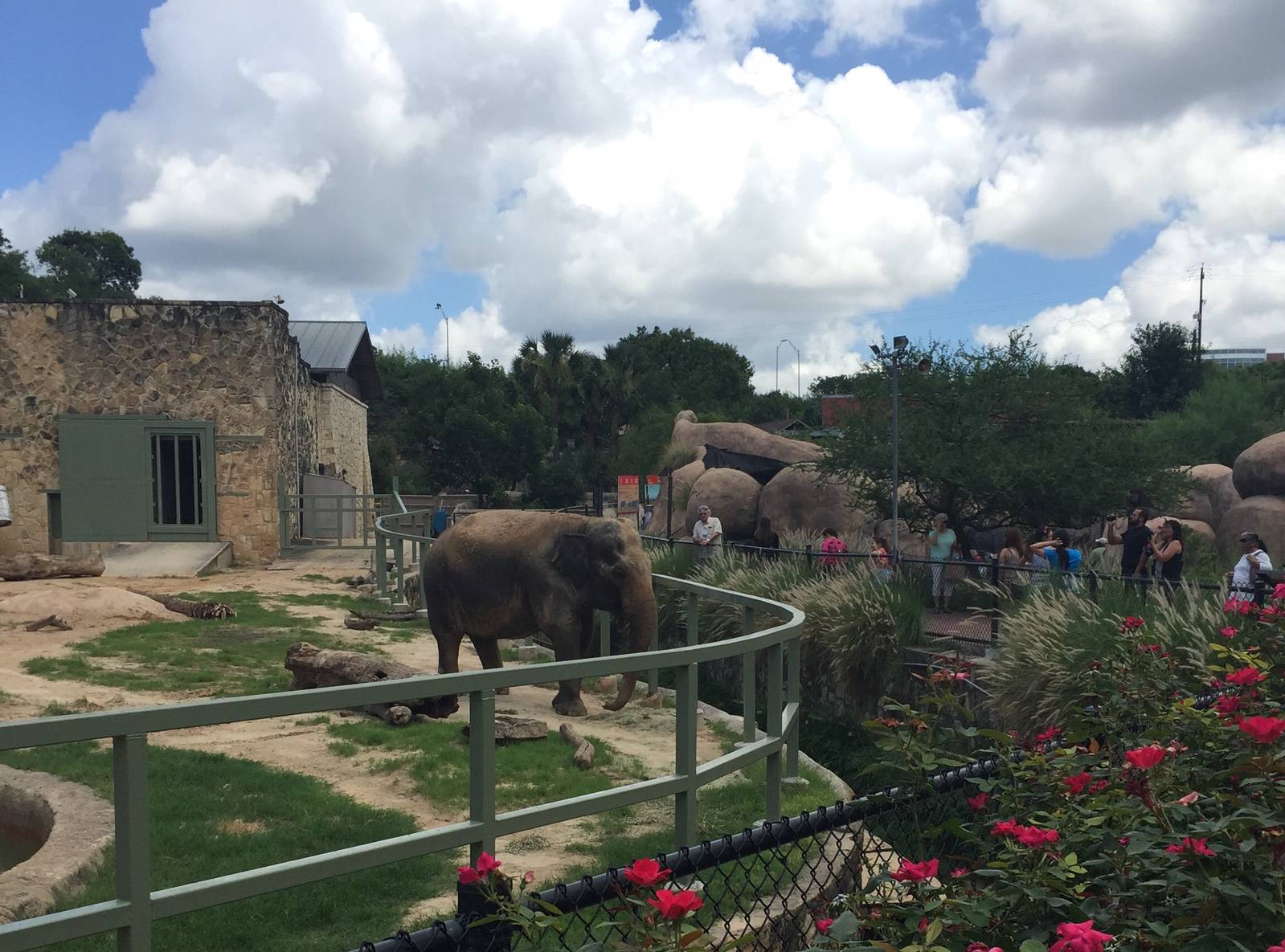 Asian Elephant Exhibit