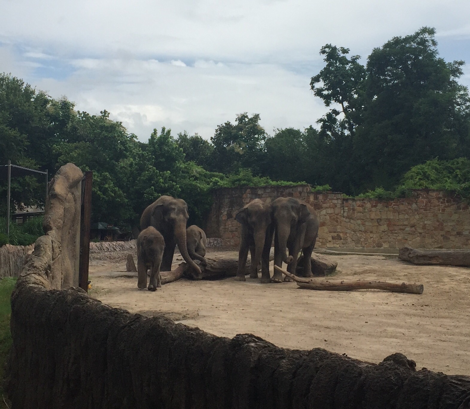 Asian Elephant Exhibit