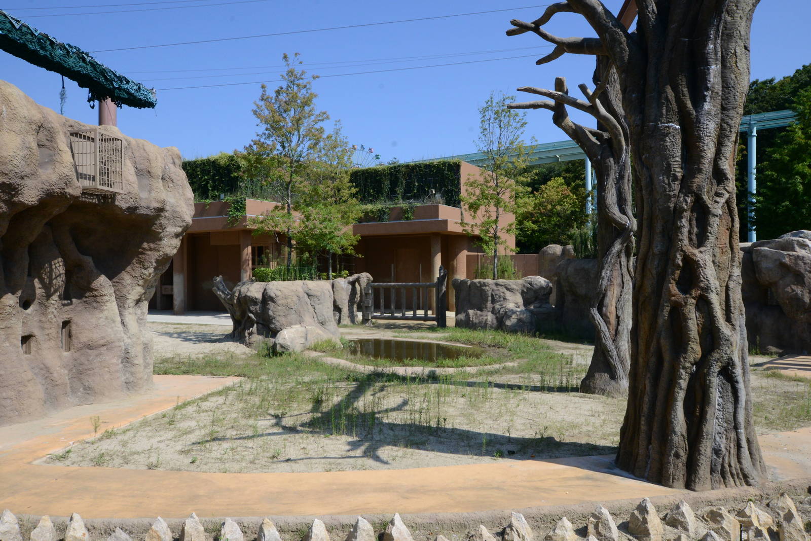 Asian elephant exhibit