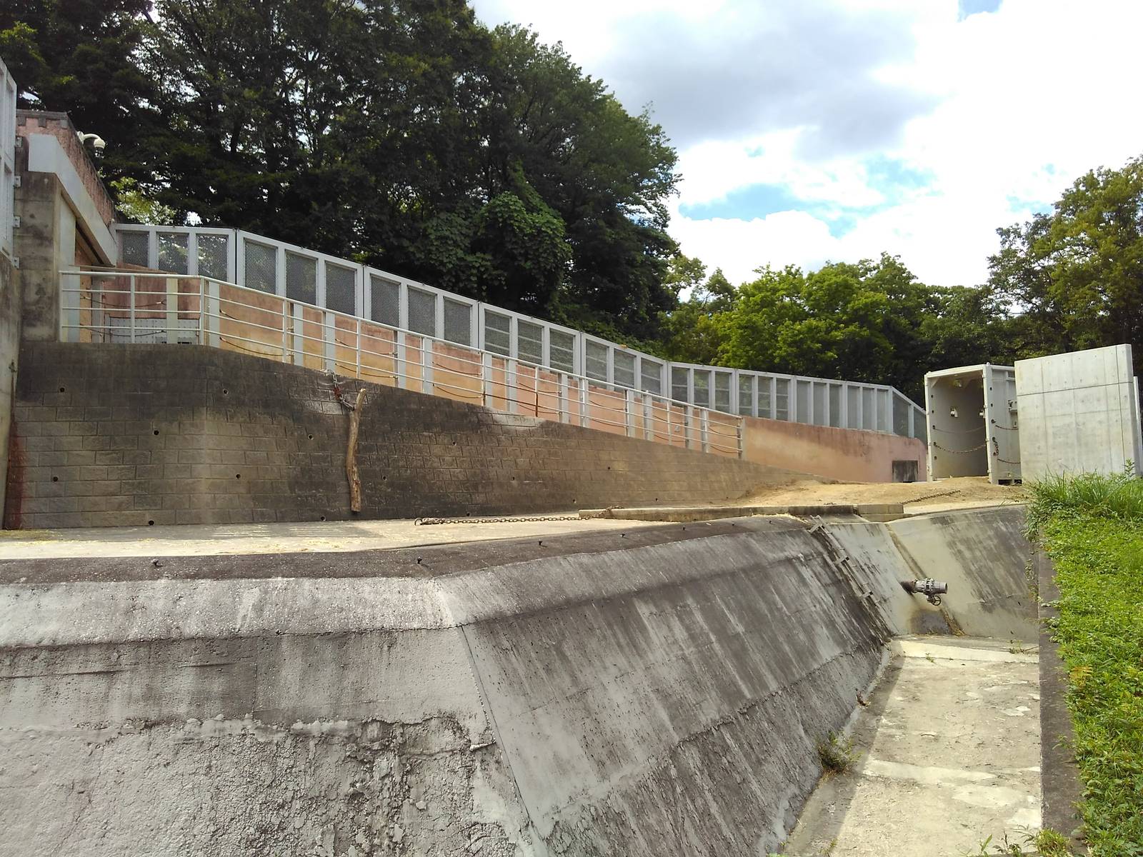 Asian elephant exhibit
