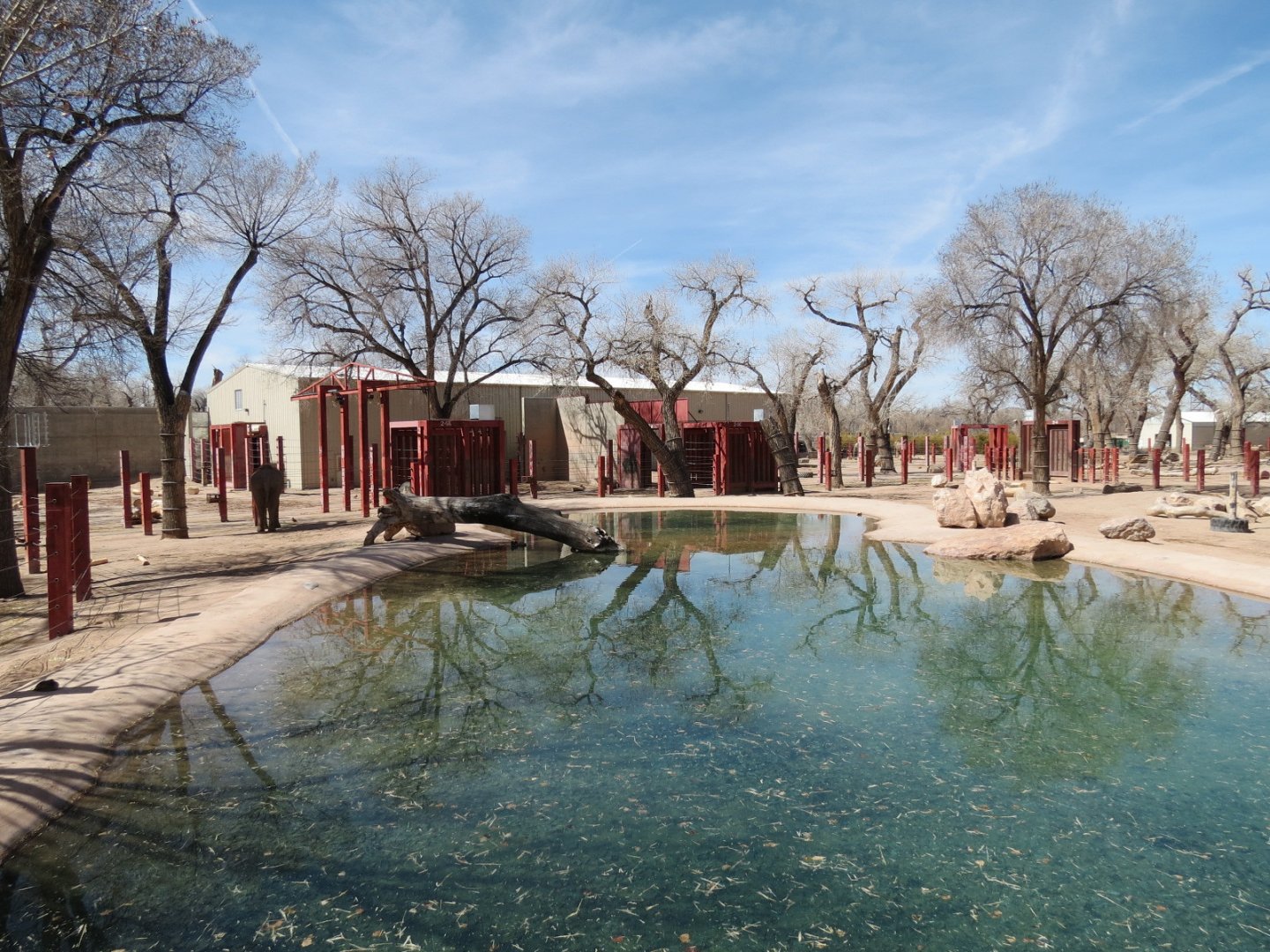 Asian Elephant Exhibit