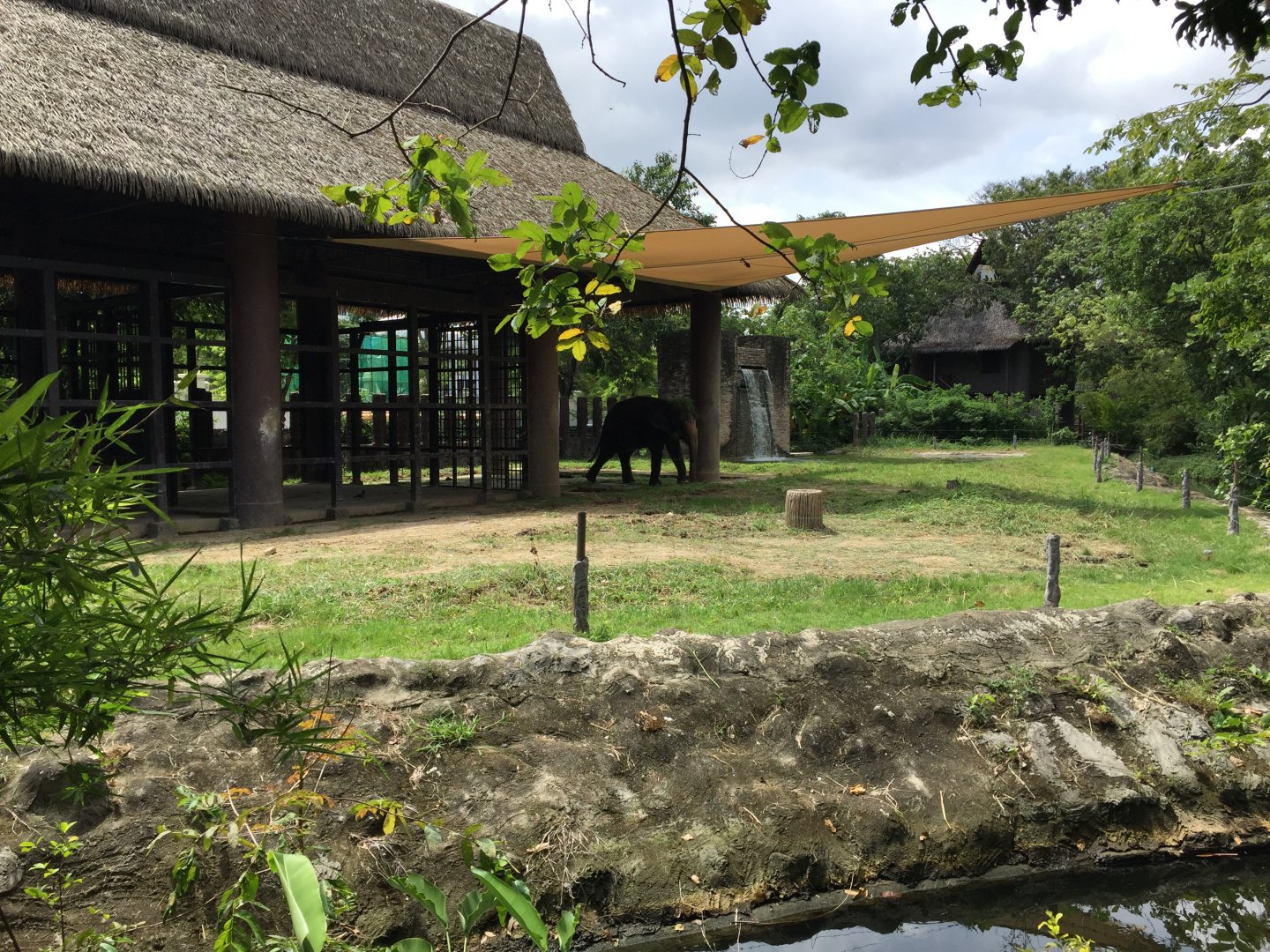 Asian Elephant Exhibit