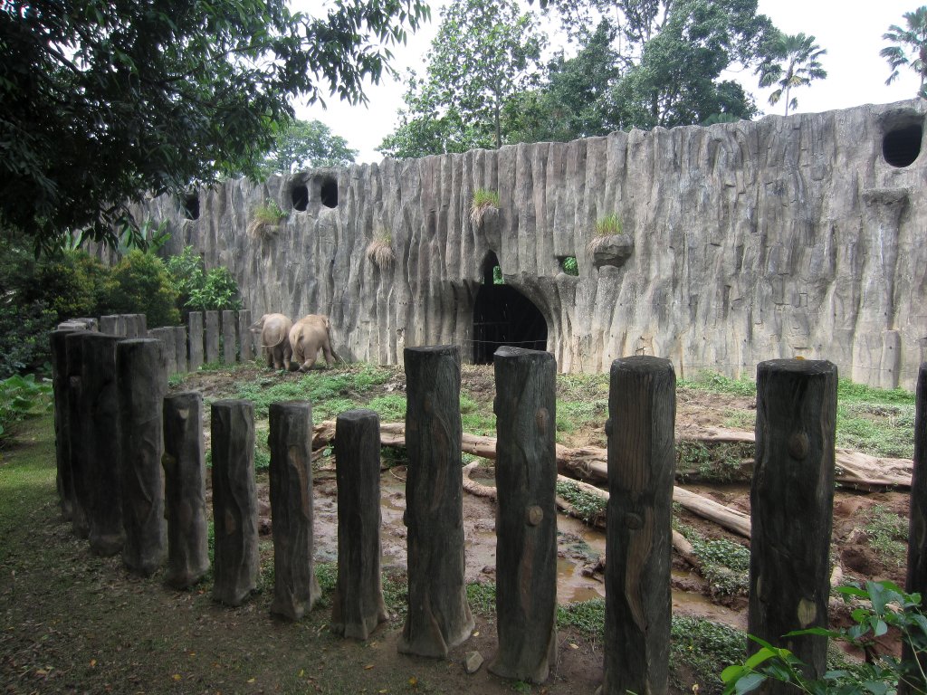 Asian Elephant exhibit