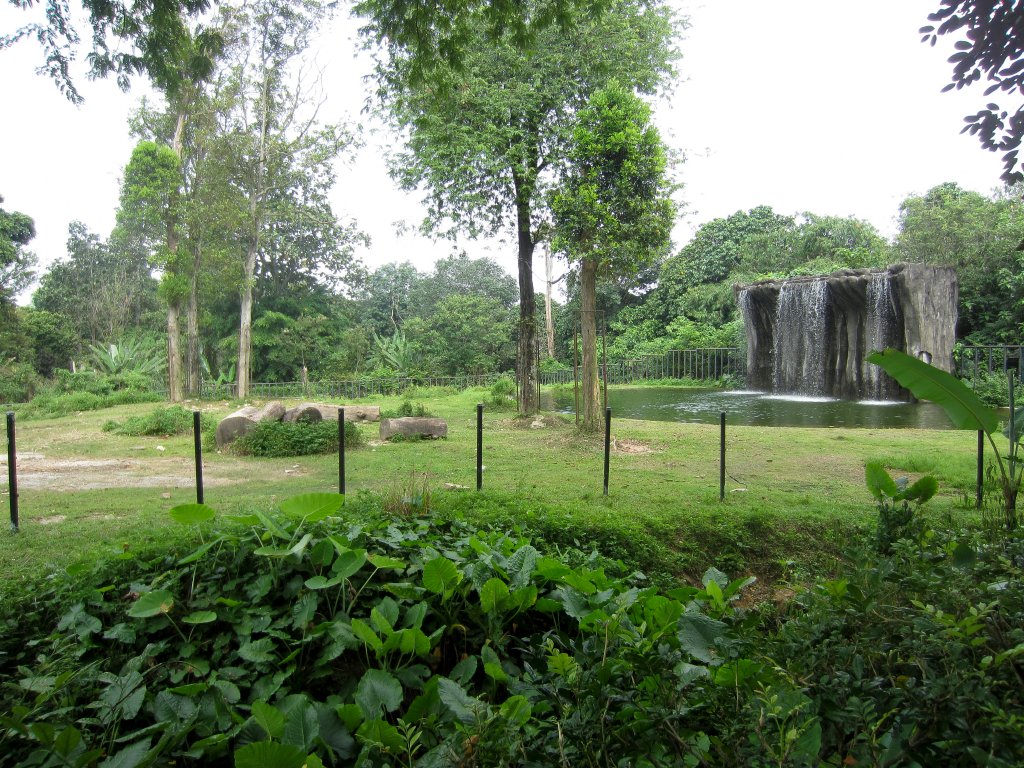 Asian Elephant exhibit