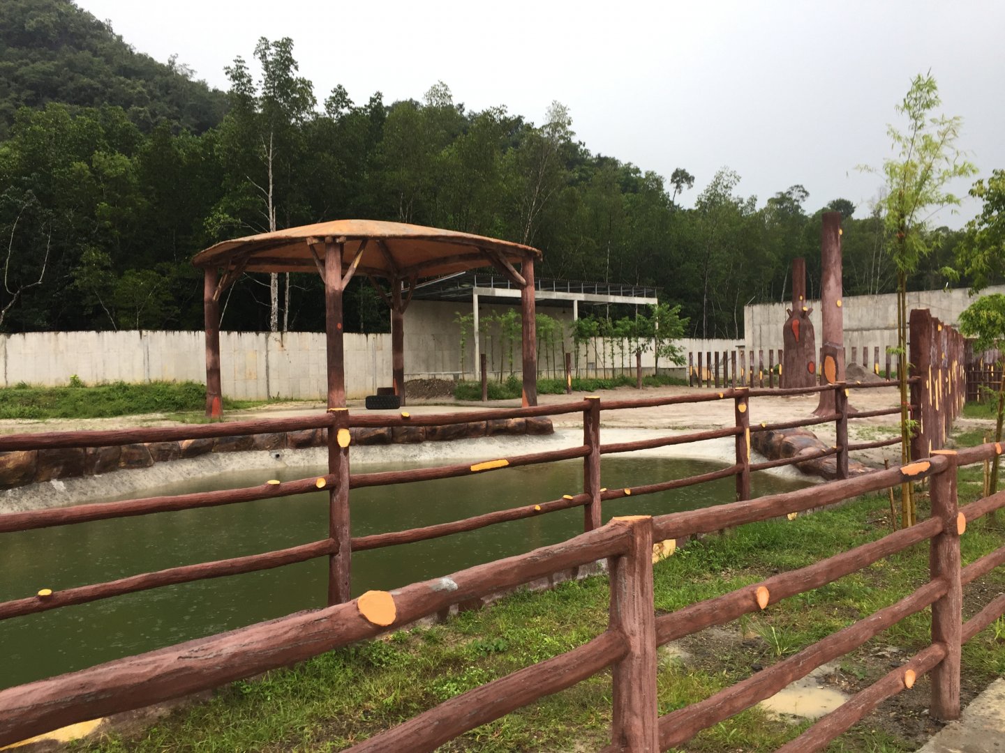 Asian Elephant Exhibit