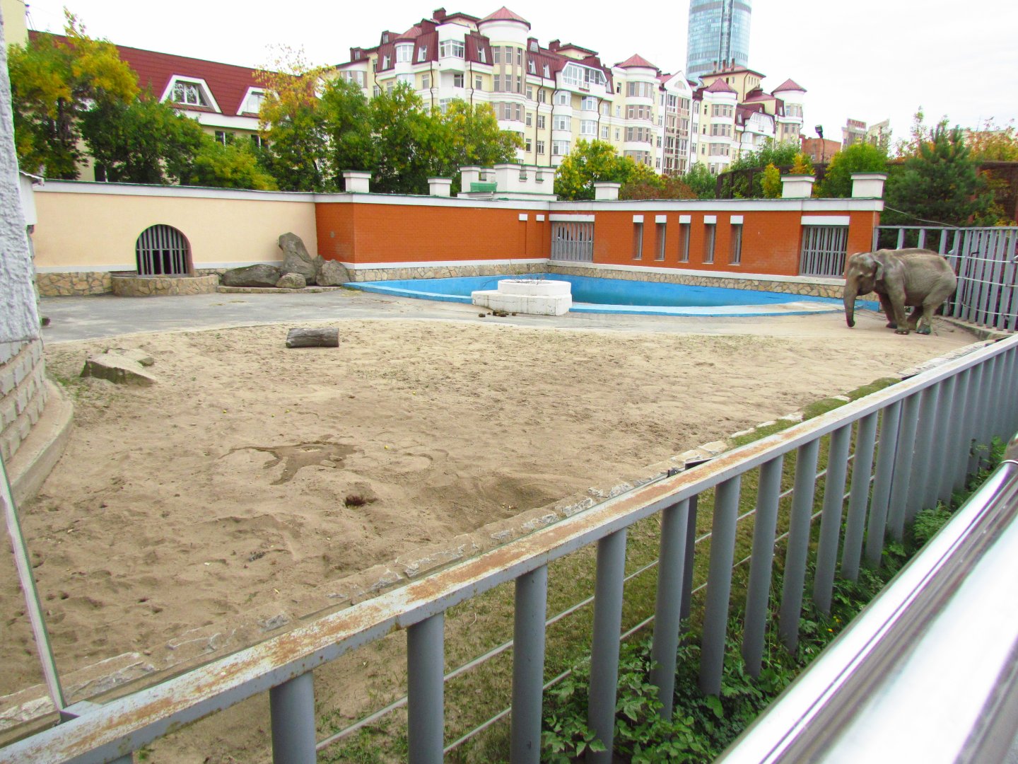 Asian elephant exhibit