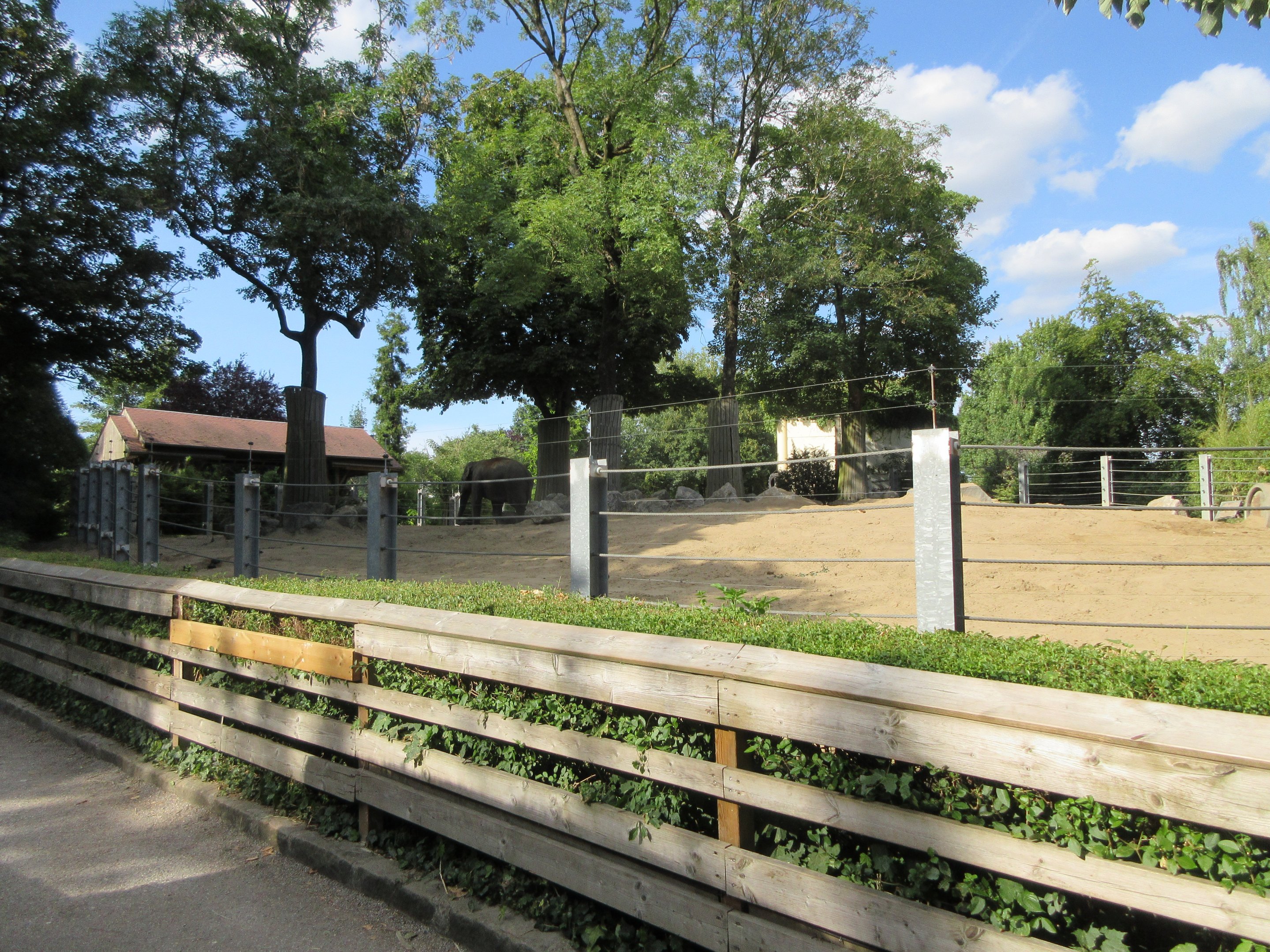 Asian Elephant Exhibit