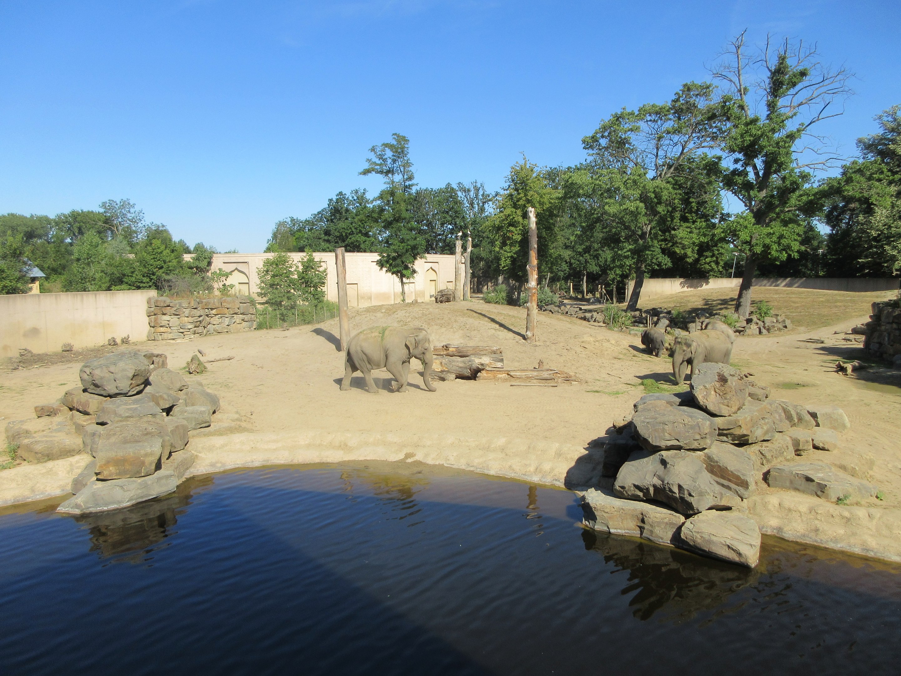 Asian Elephant Exhibit