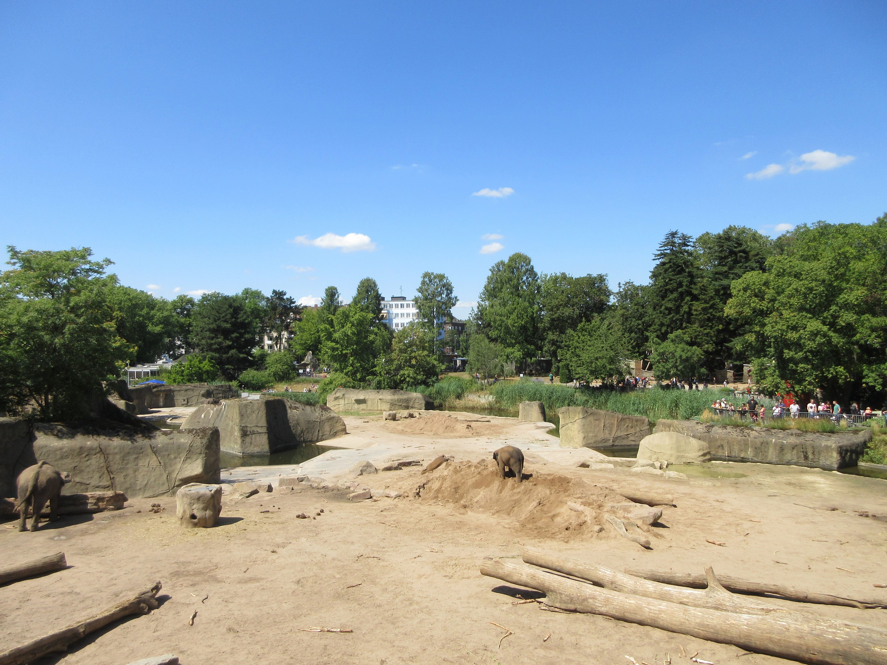 Asian Elephant Exhibit