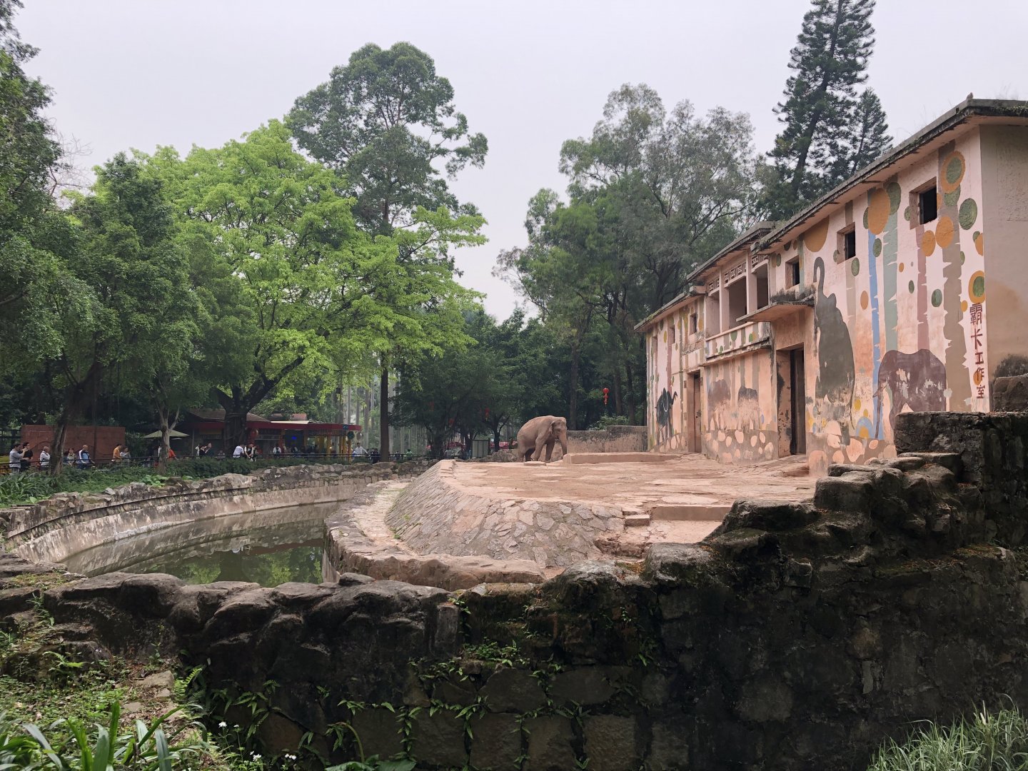 Asian Elephant Exhibit