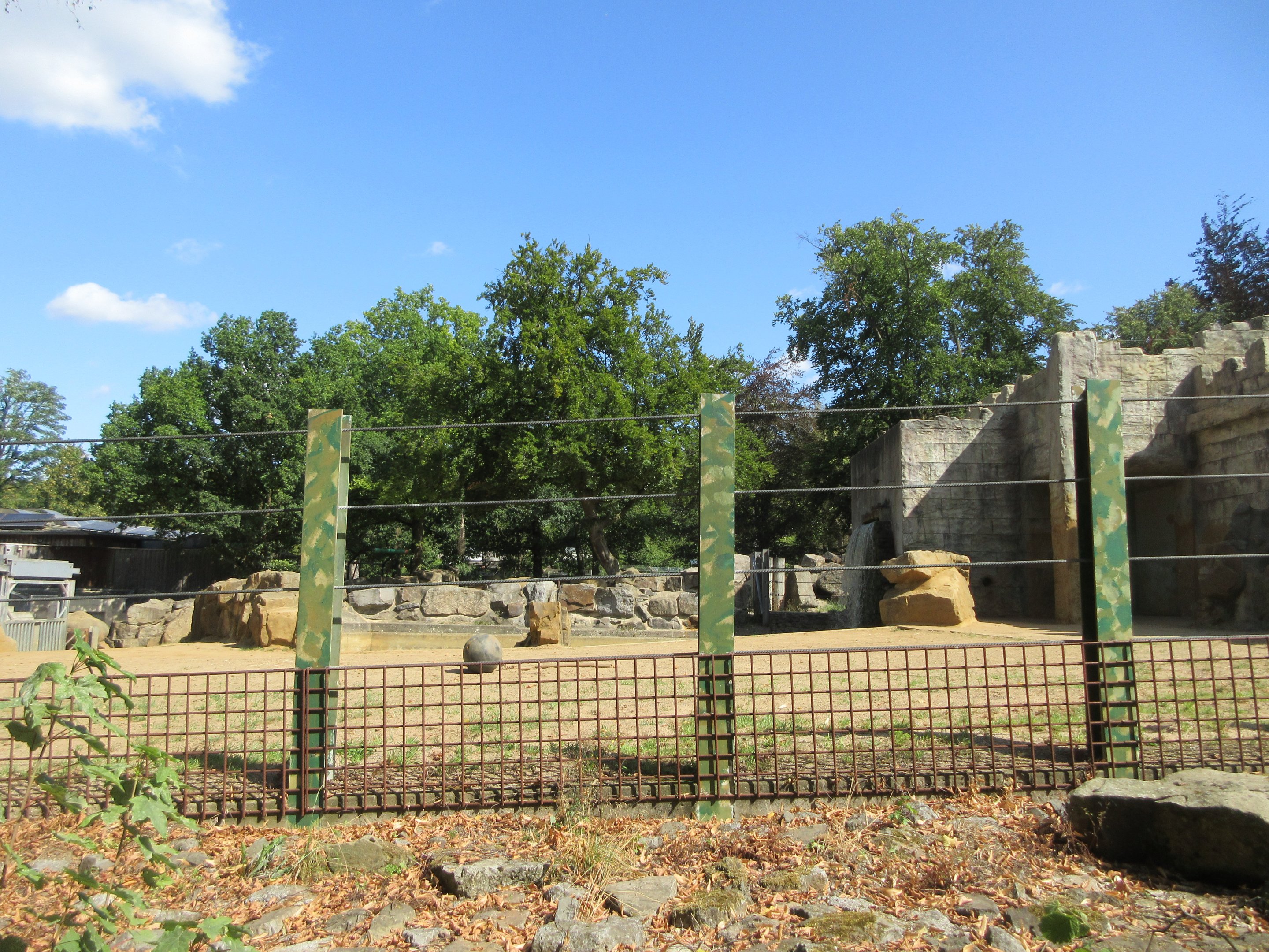 Asian Elephant Exhibit