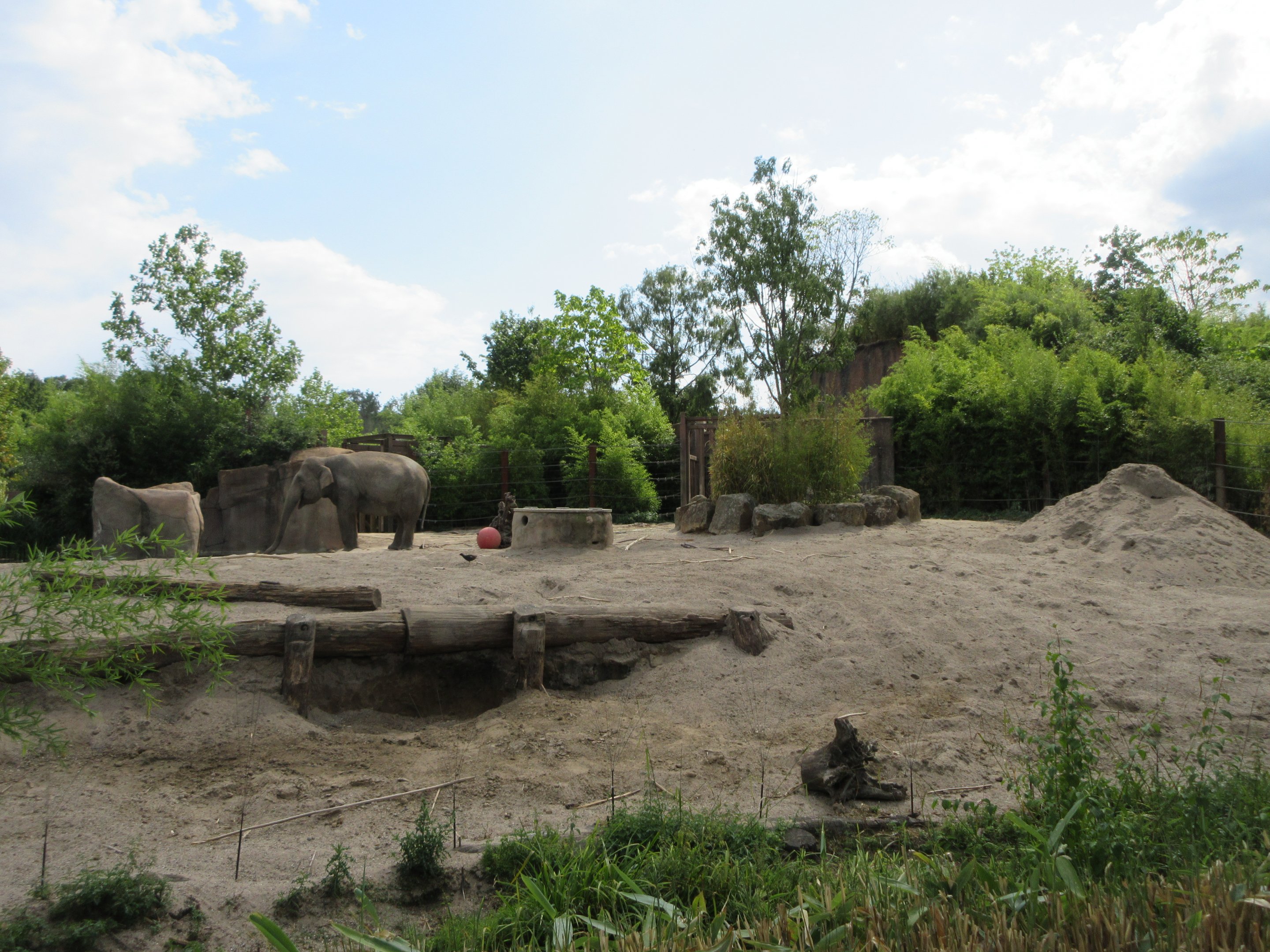 Asian Elephant Exhibit