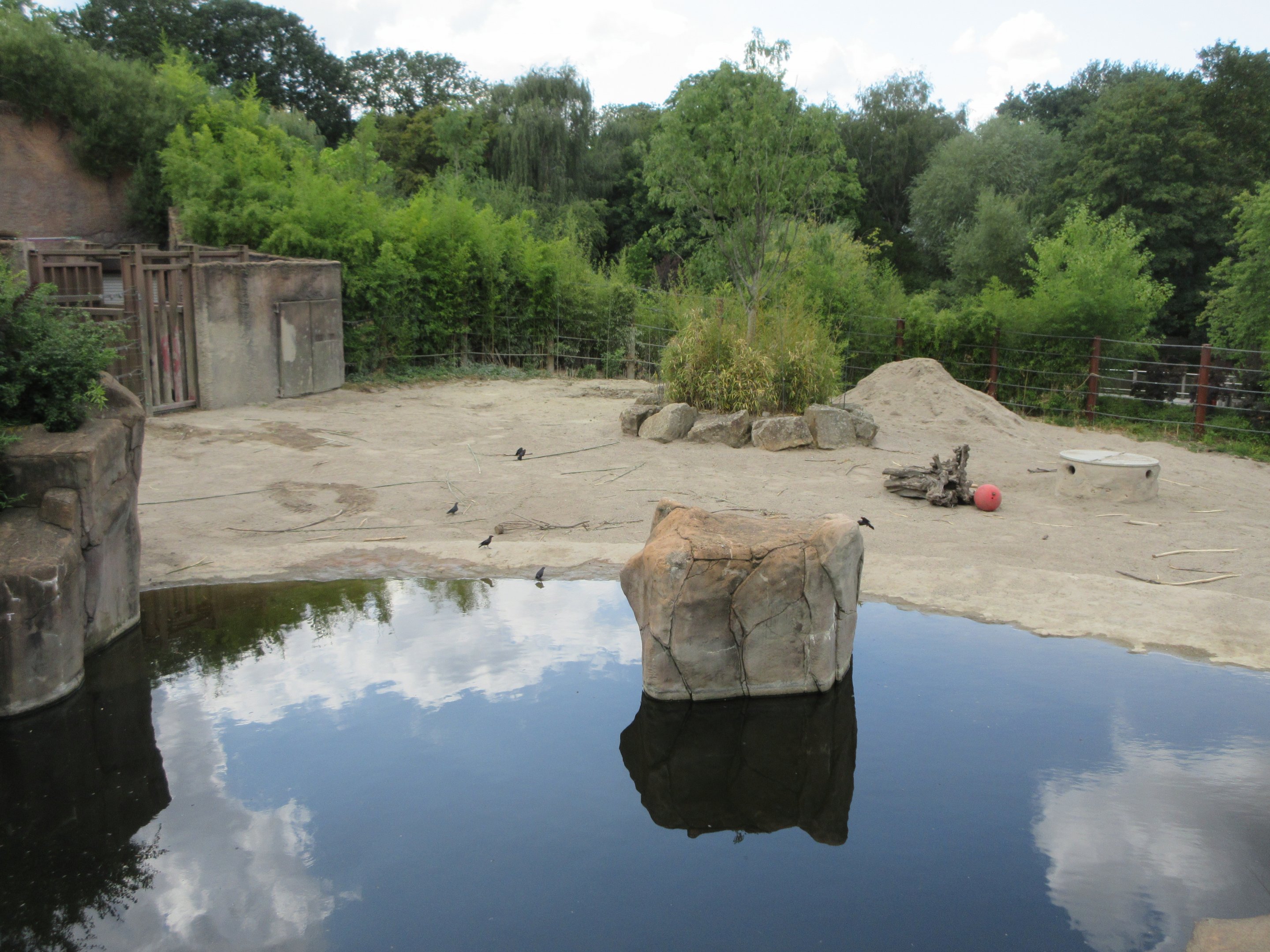Asian Elephant Exhibit