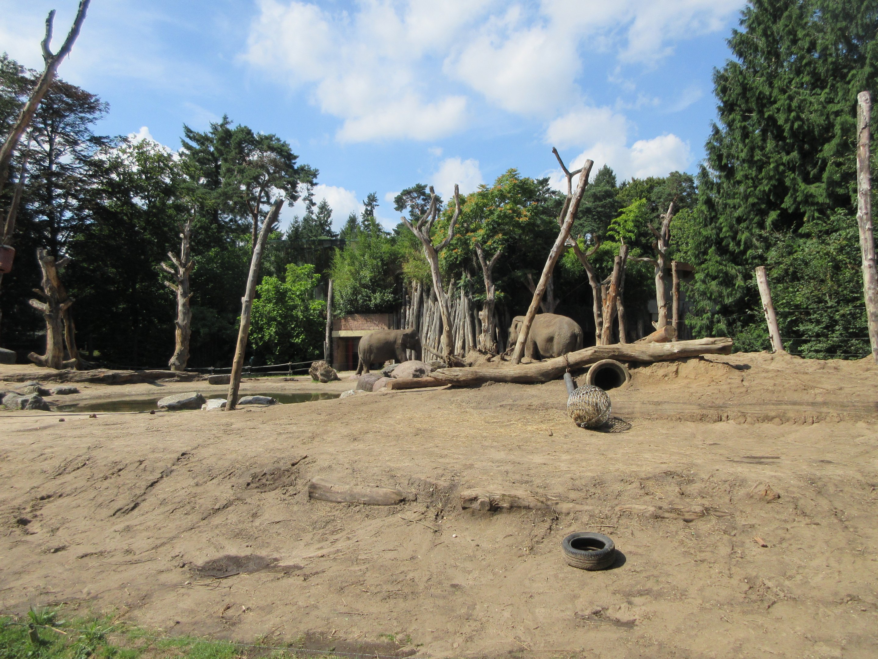 Asian Elephant Exhibit