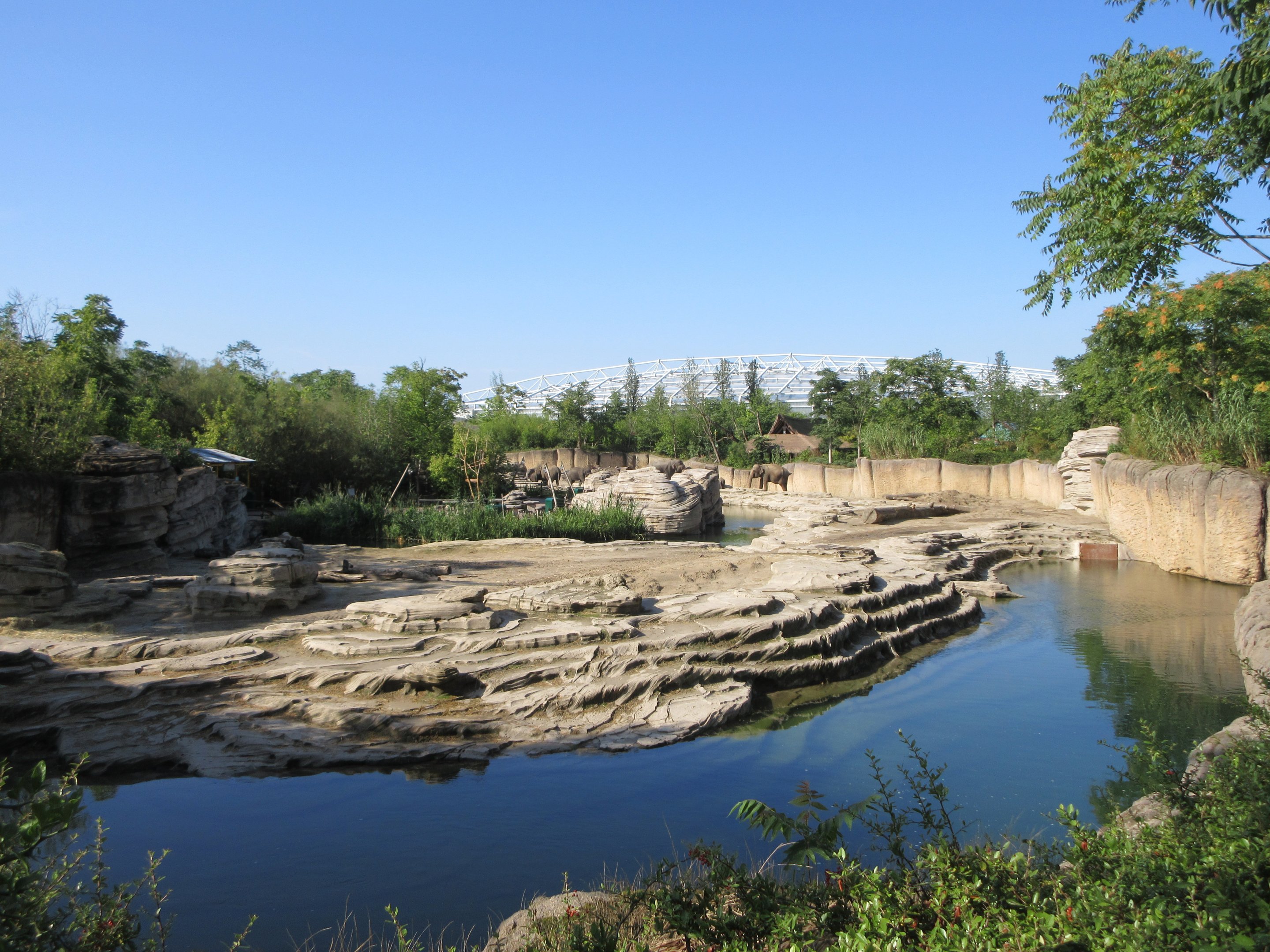 Asian Elephant Exhibit