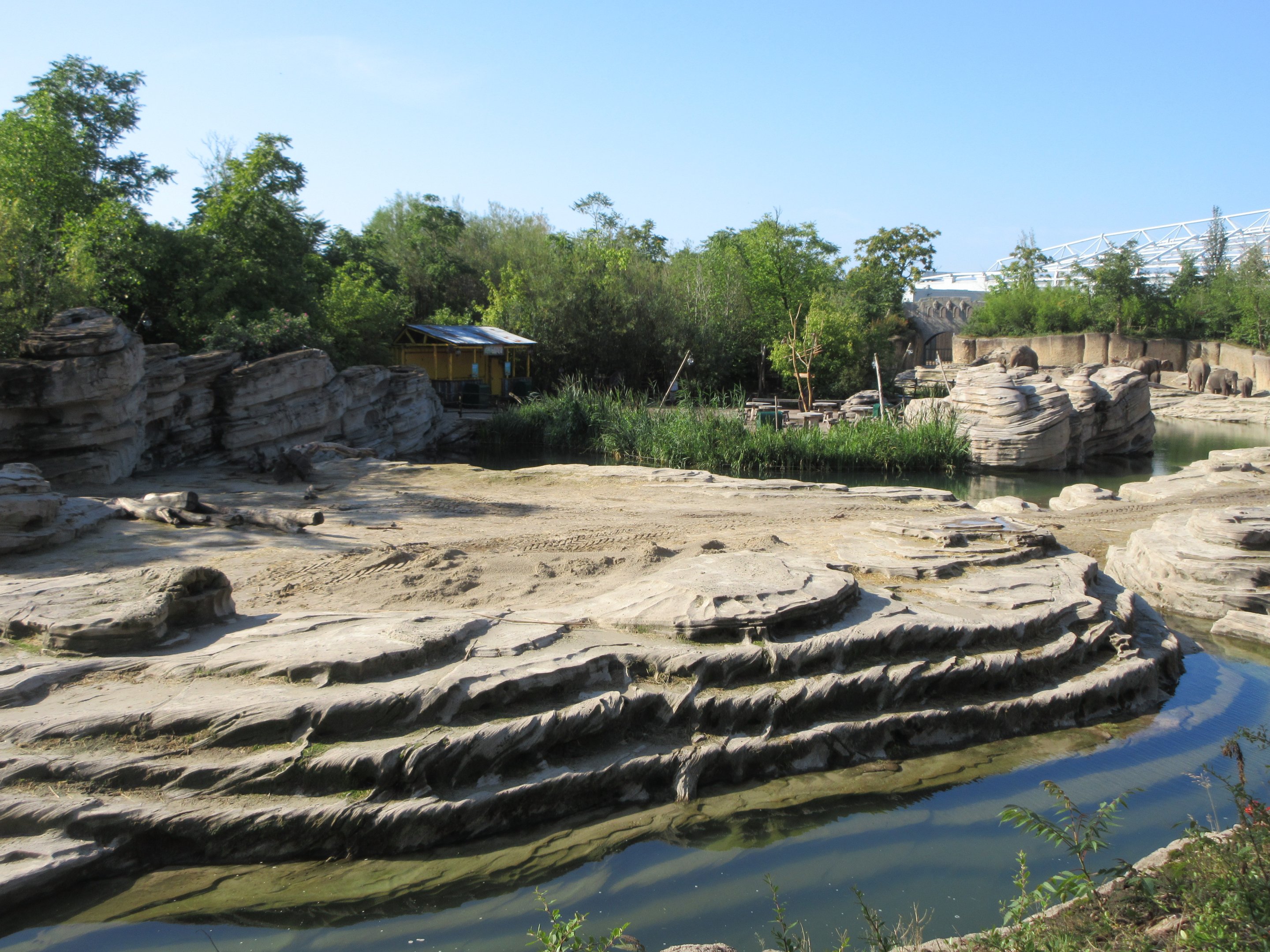 Asian Elephant Exhibit