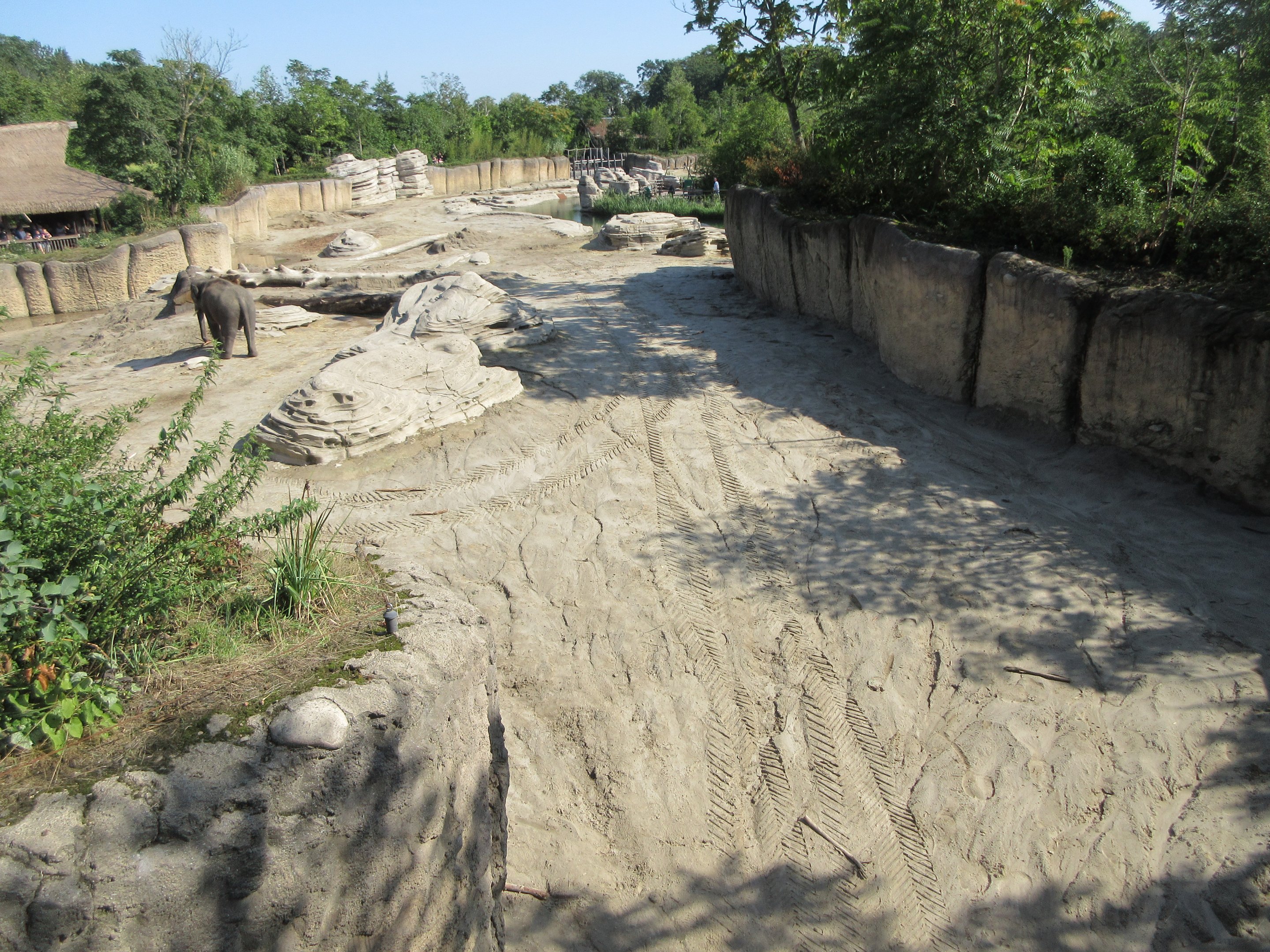 Asian Elephant Exhibit