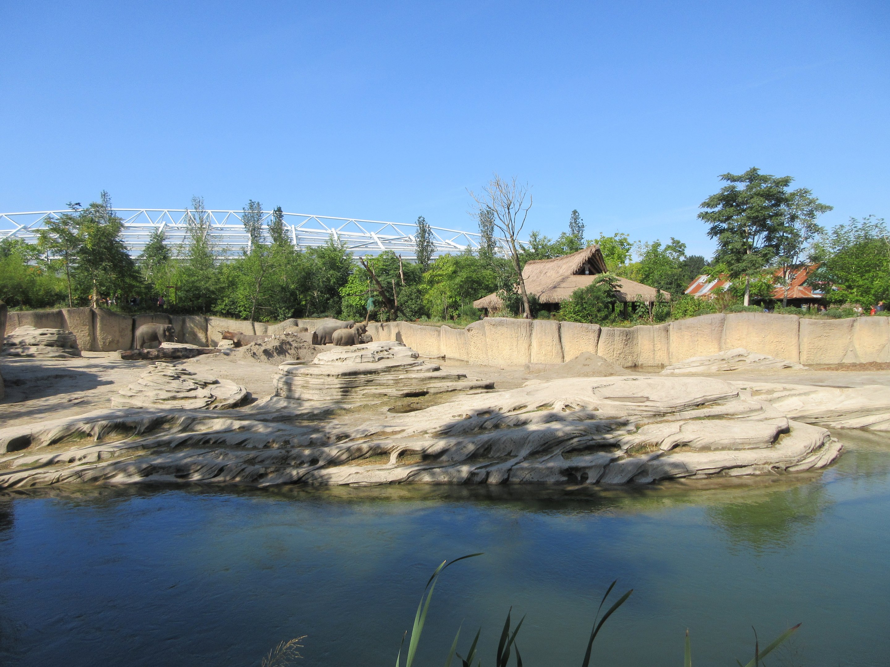 Asian Elephant Exhibit