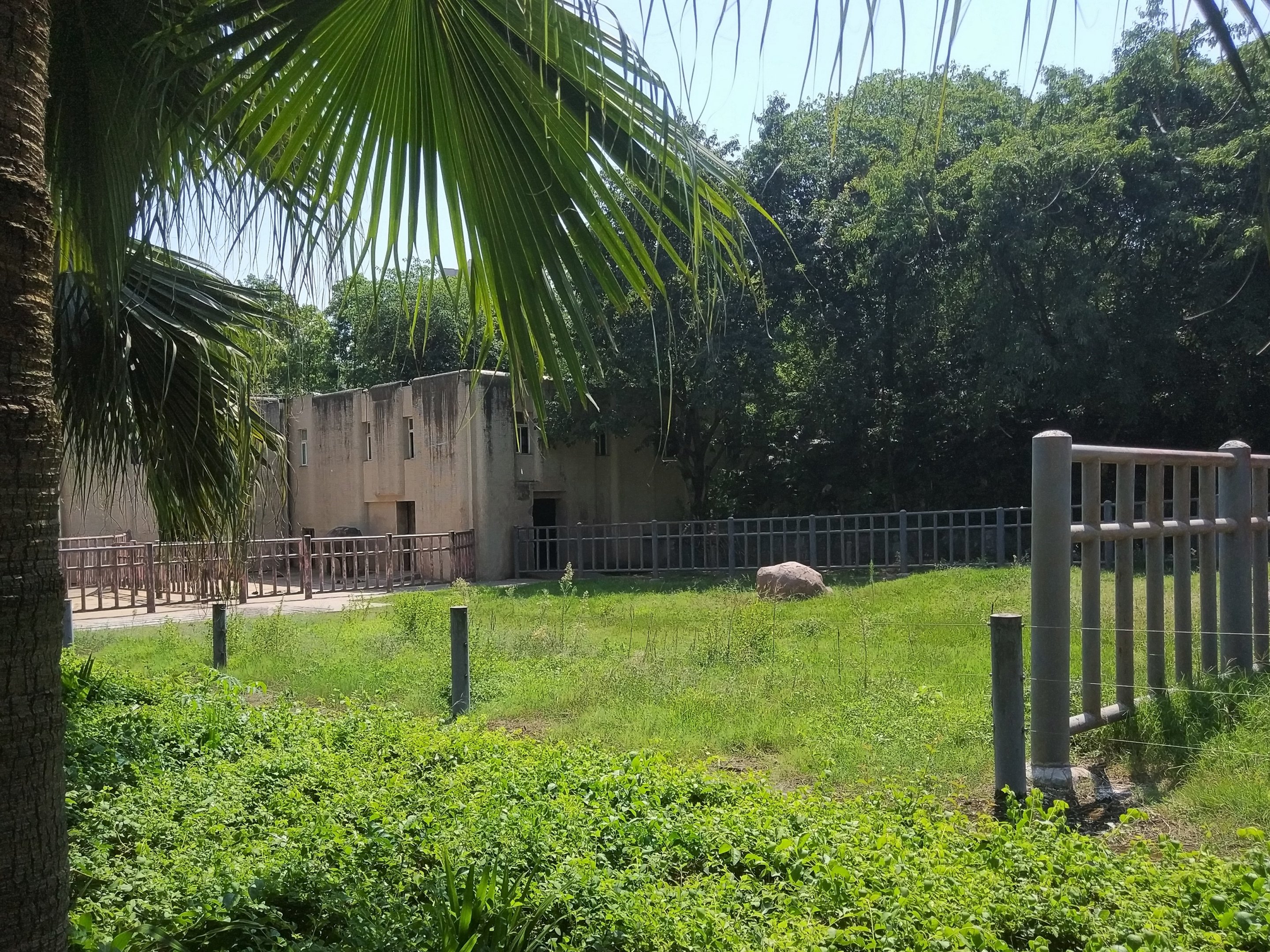 Asian Elephant Exhibit