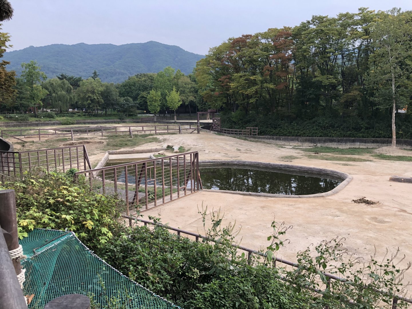 Asian Elephant Exhibit