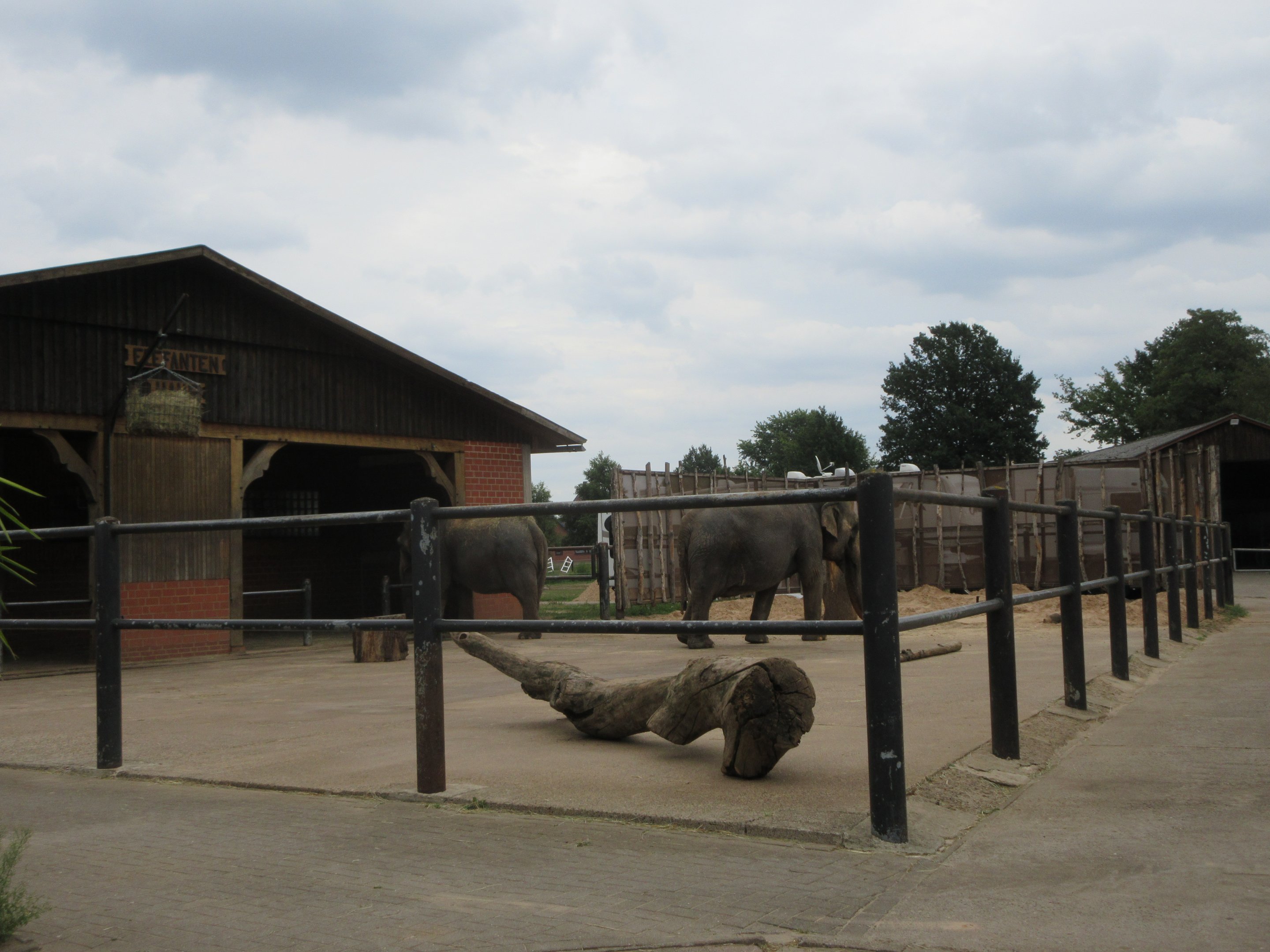 Asian Elephant Exhibit