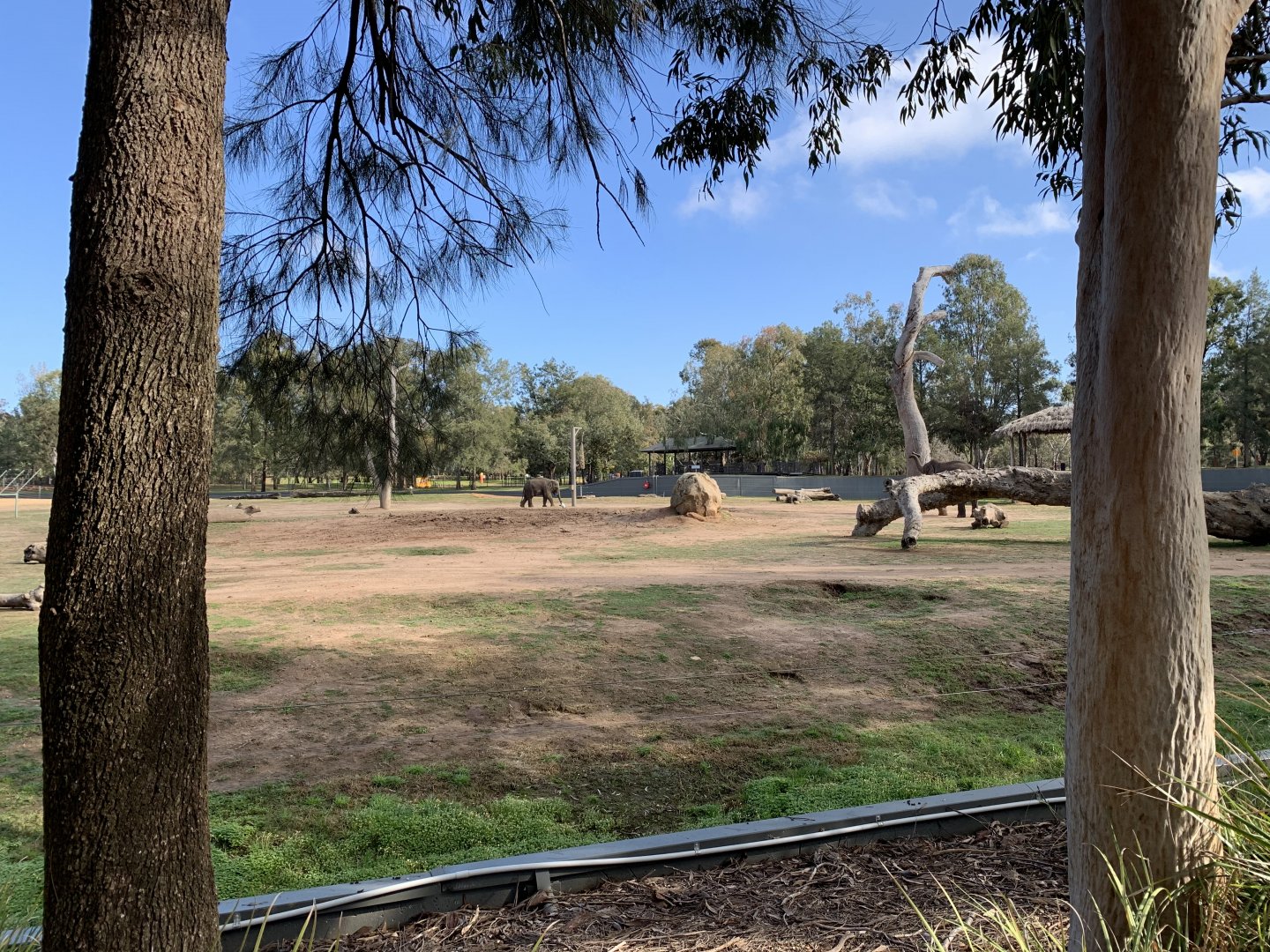 Asian Elephant Exhibit