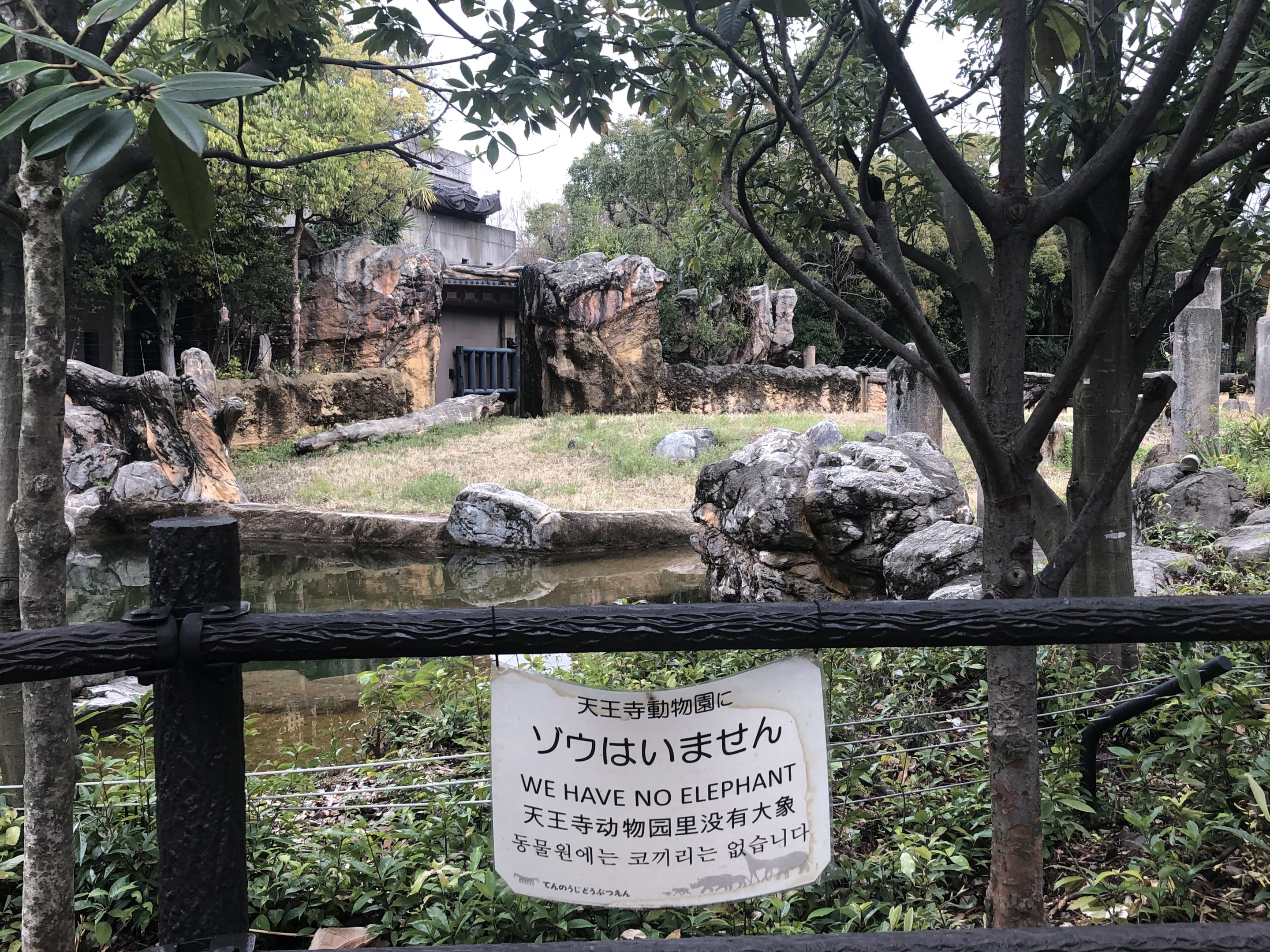 Asian elephant exhibit