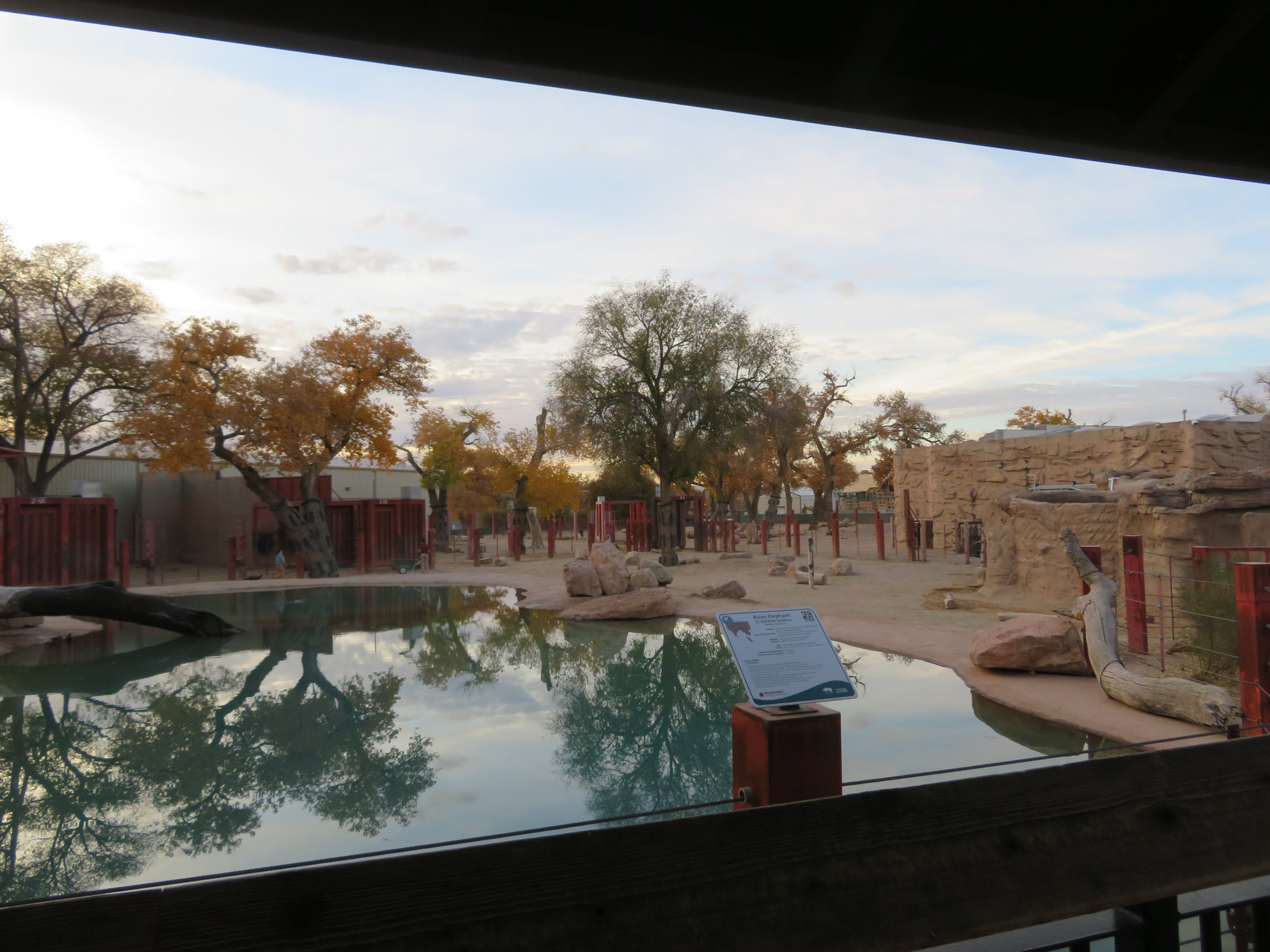 Asian Elephant Exhibit