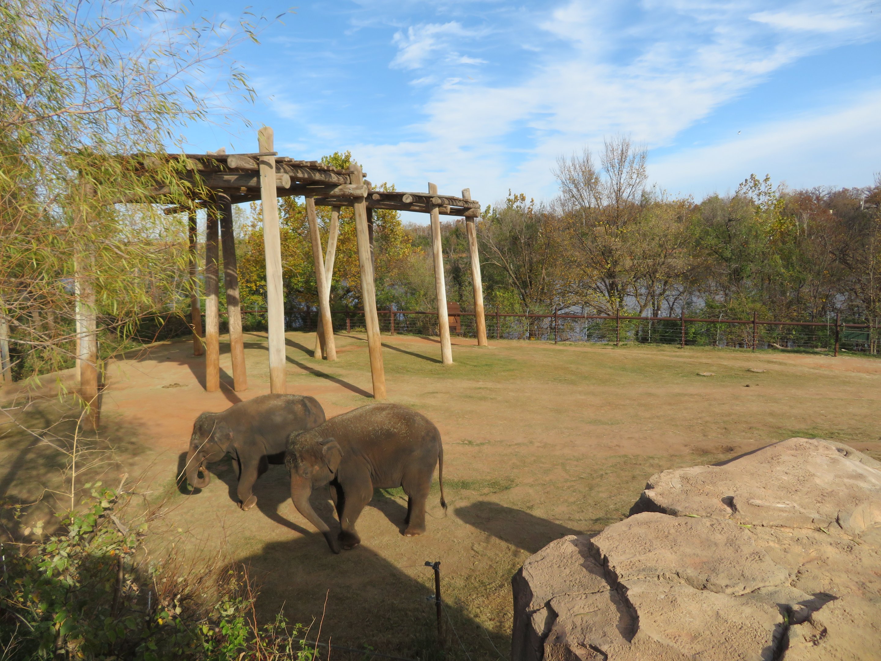 Asian Elephant Exhibit