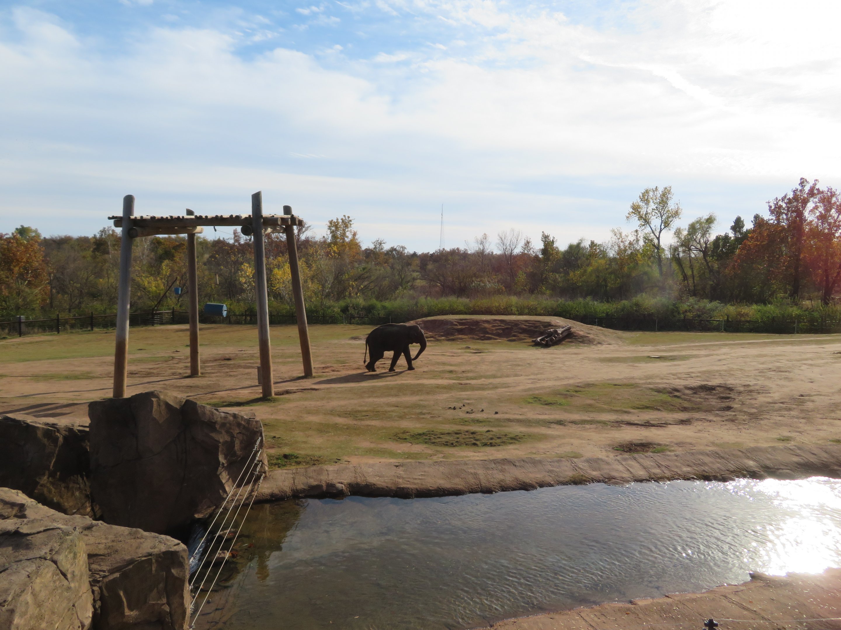 Asian Elephant Exhibit
