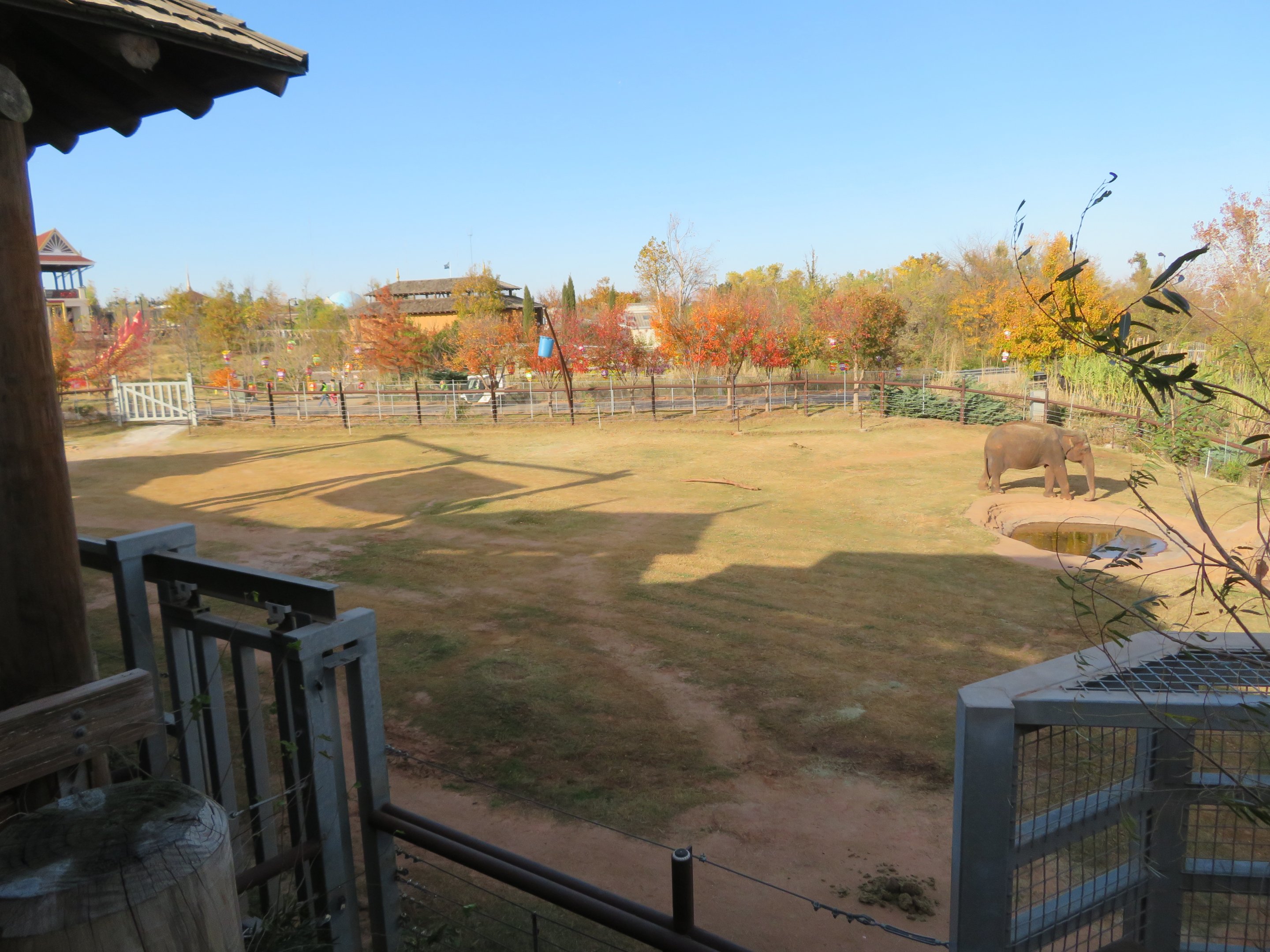 Asian Elephant Exhibit