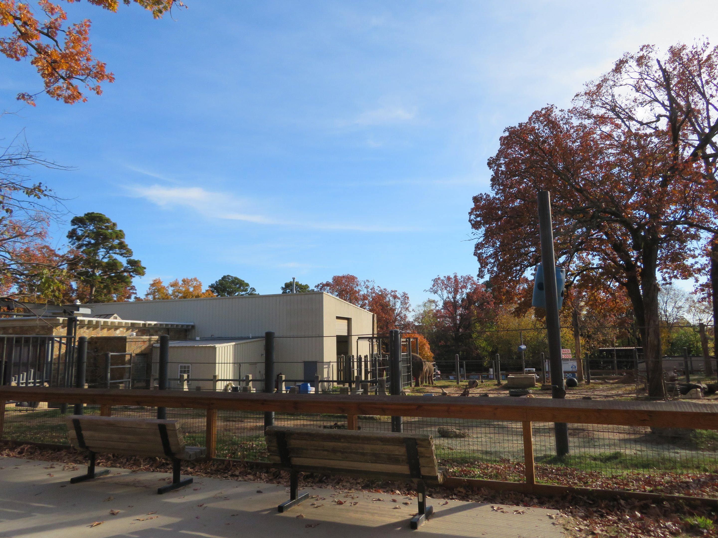 Asian Elephant Exhibit