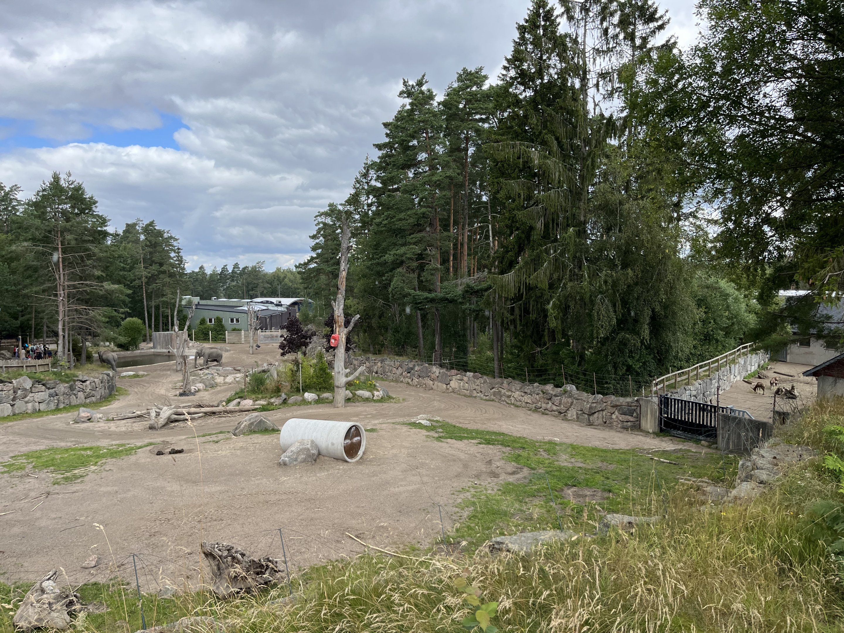 Asian Elephant Exhibit