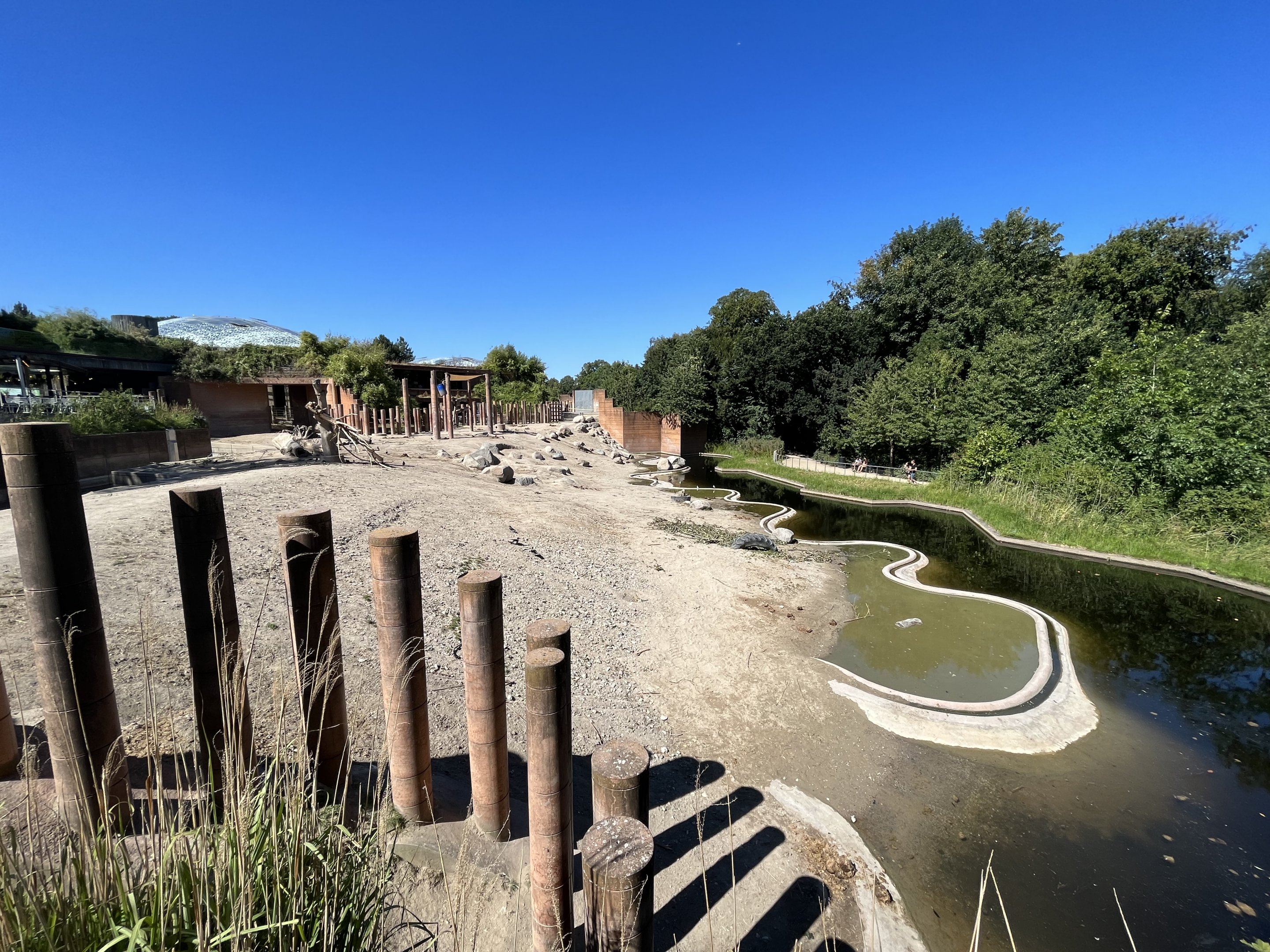Asian Elephant Exhibit