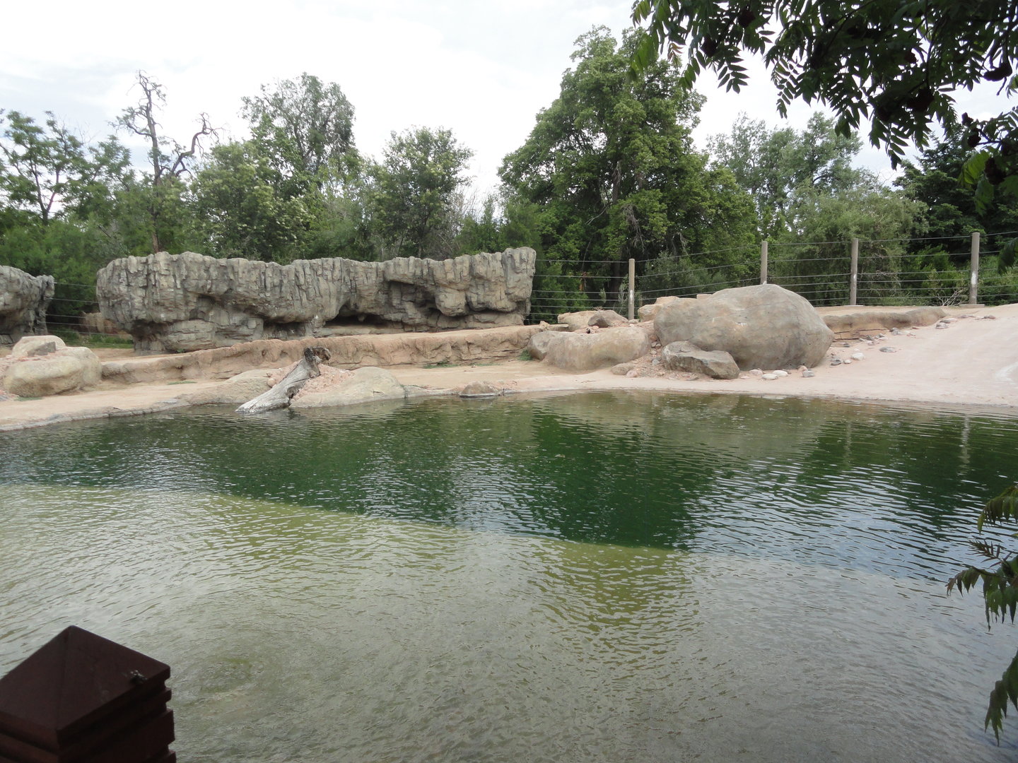 Asian Elephant Exhibit