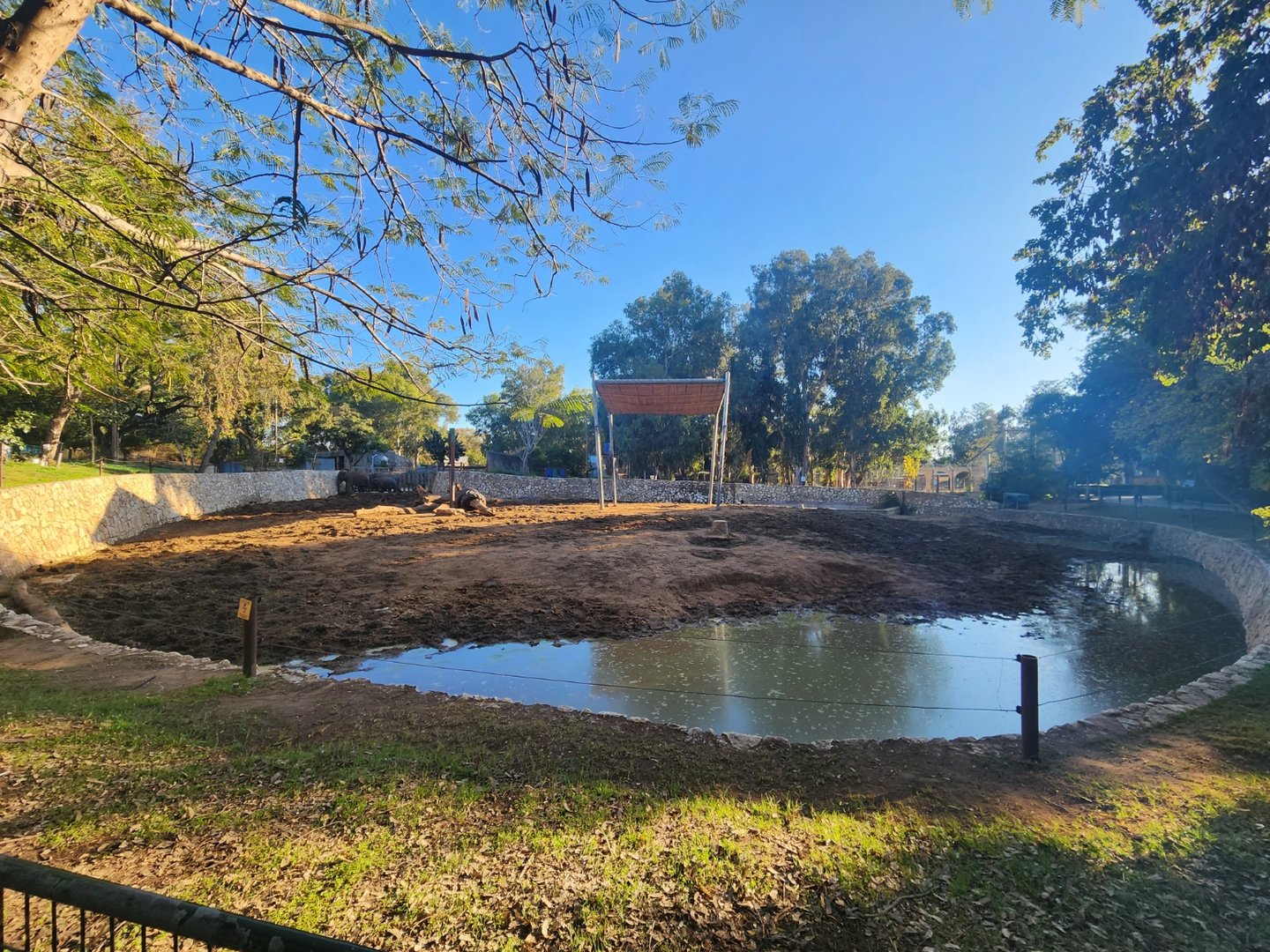 Asian Elephant Exhibit